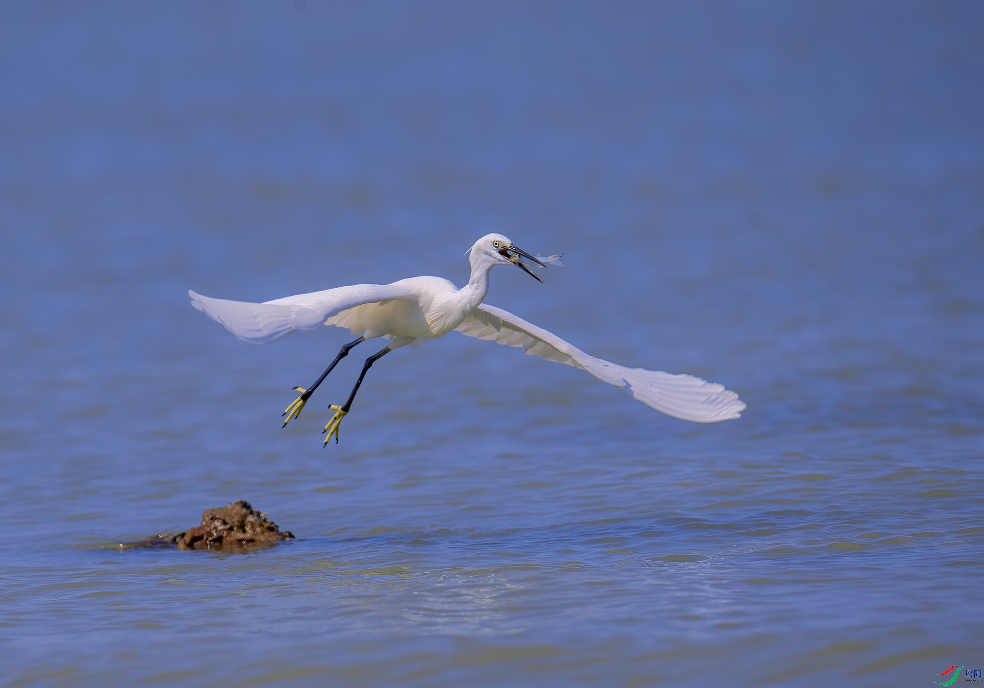 DSC_0904 ����.jpg