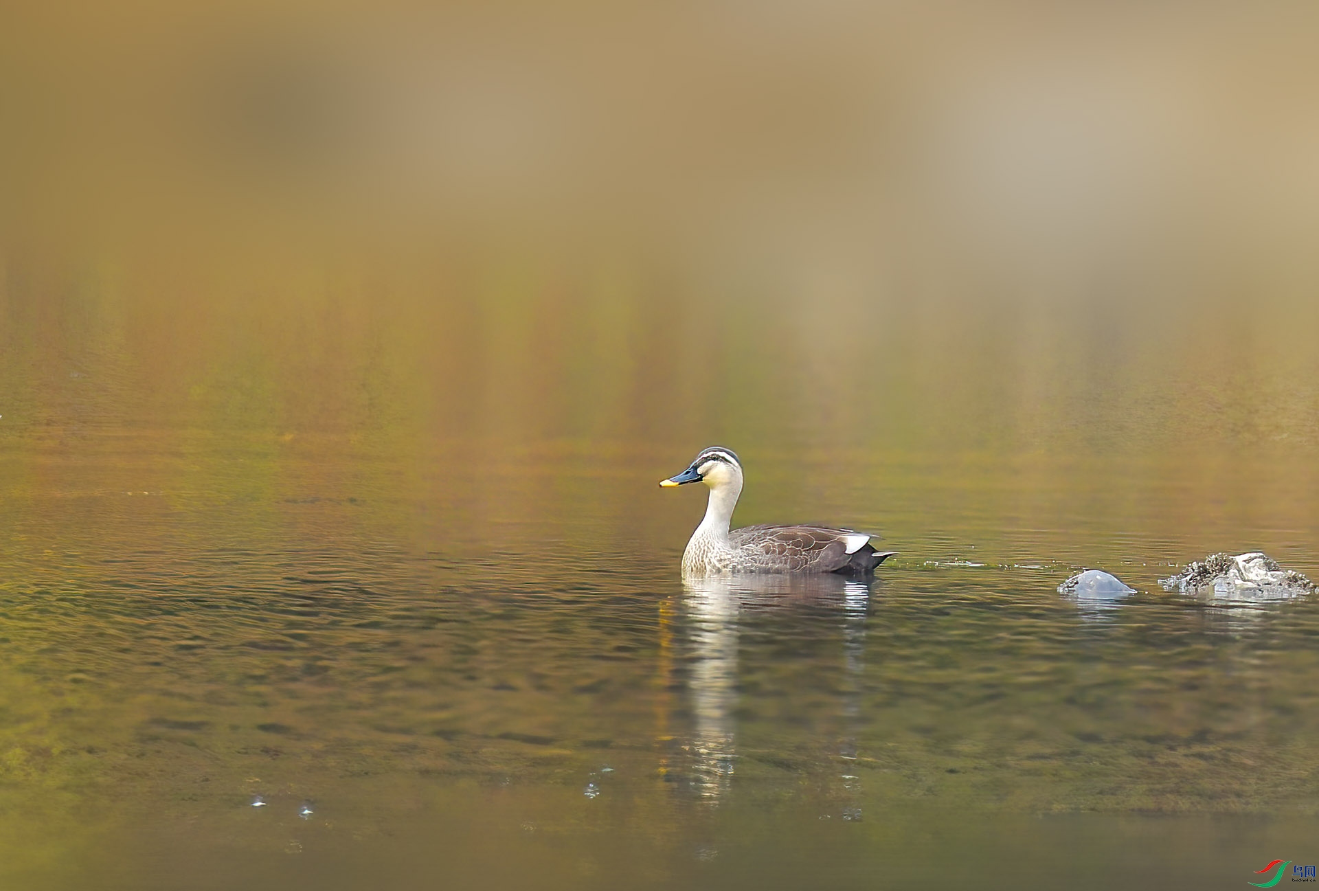 DSC_6908.JPG