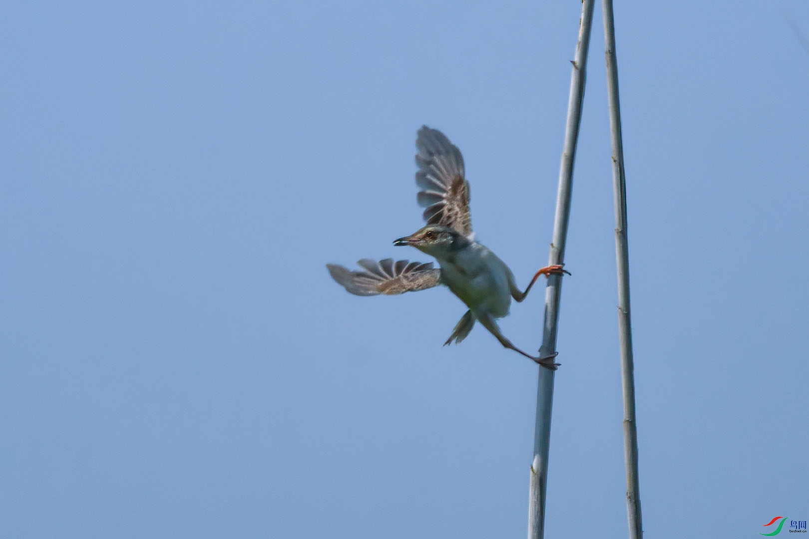 DSC_6408.jpg