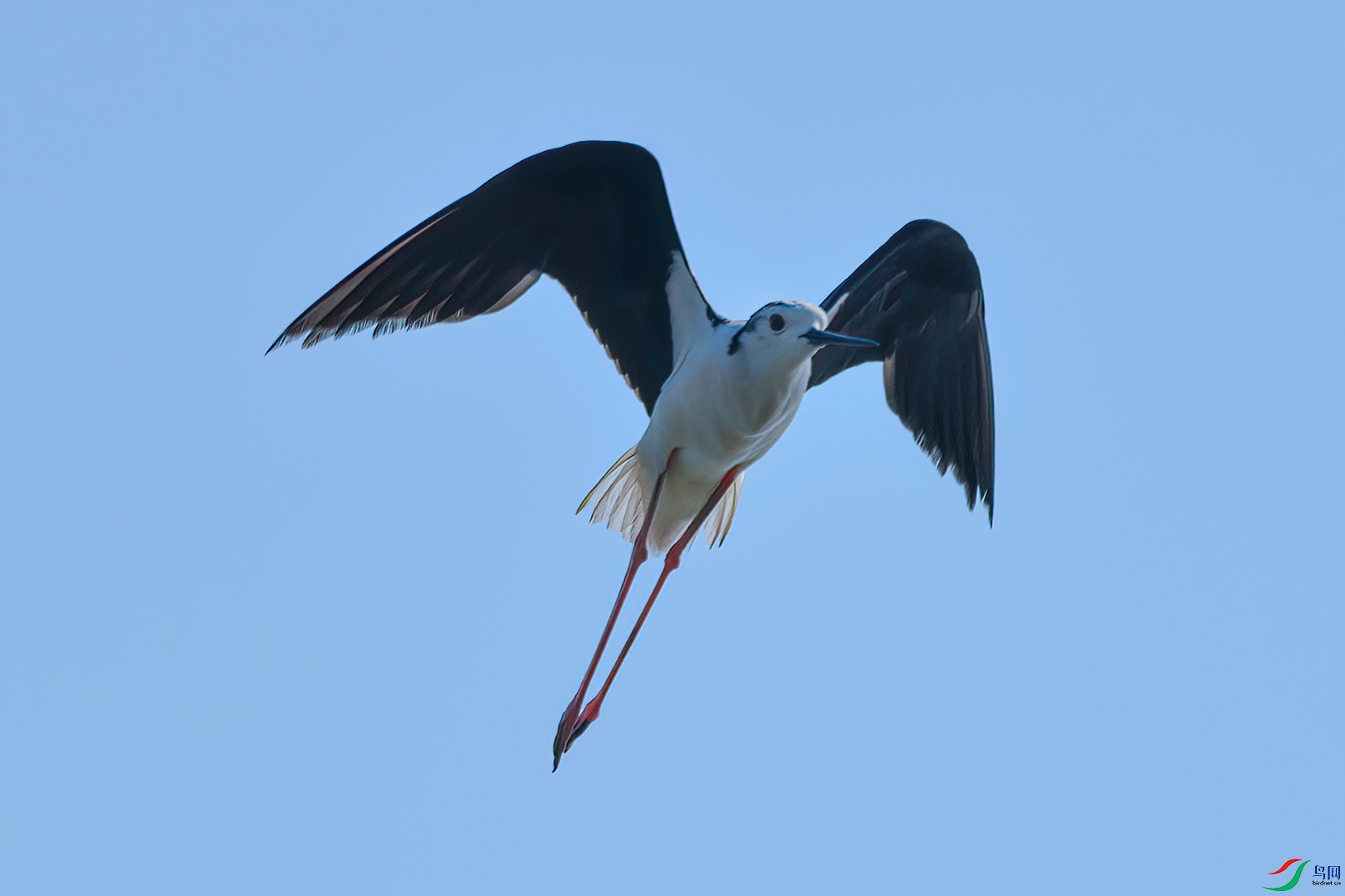 DSC_8699.jpg