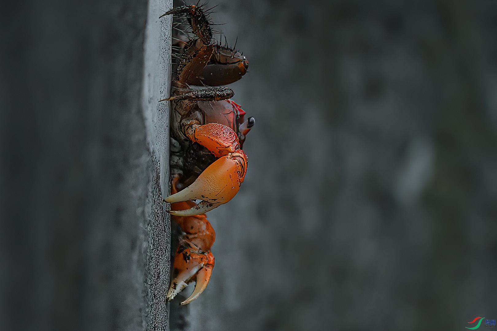 DSC_0644.jpg