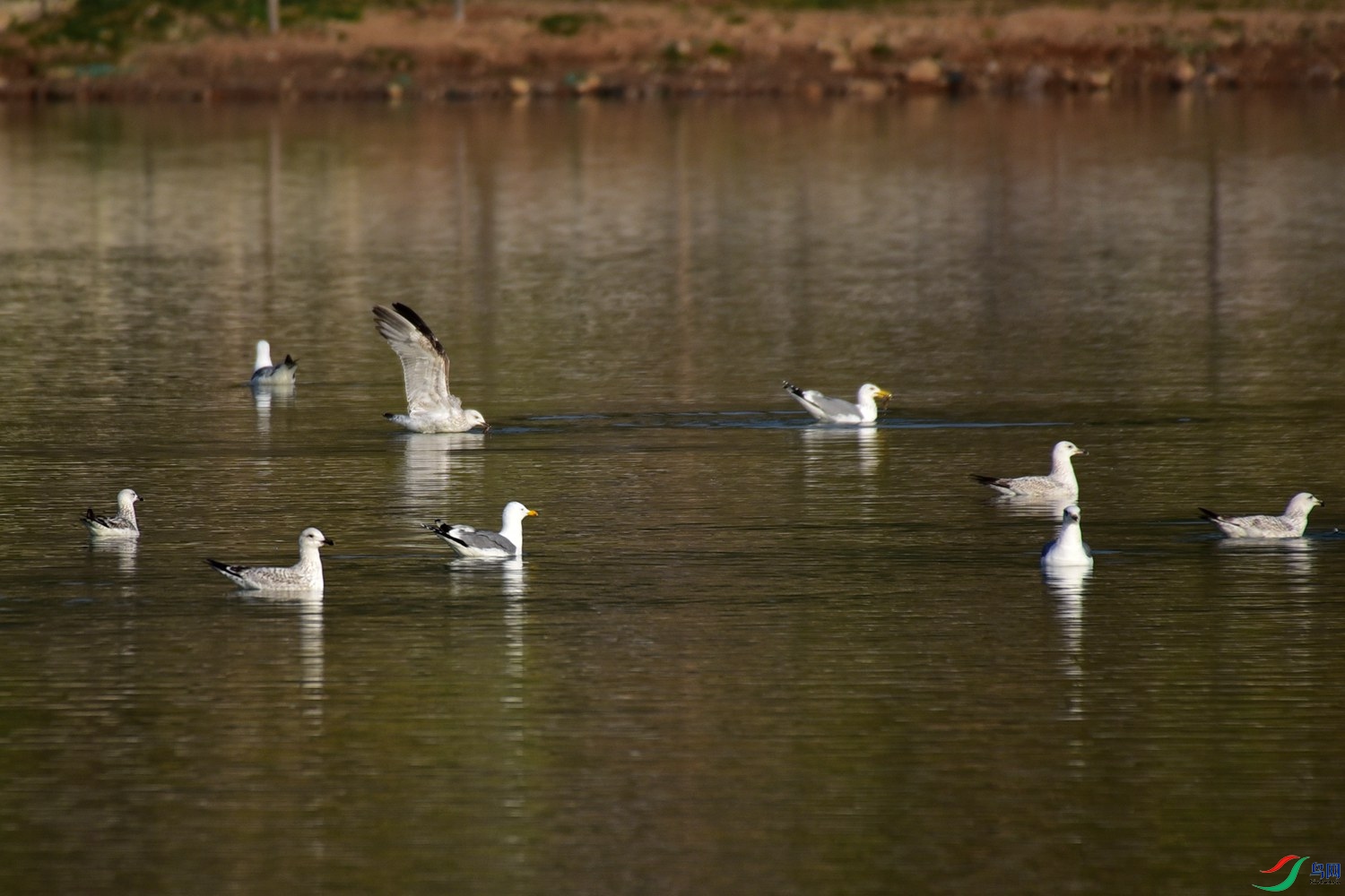 DSC_3420.JPG
