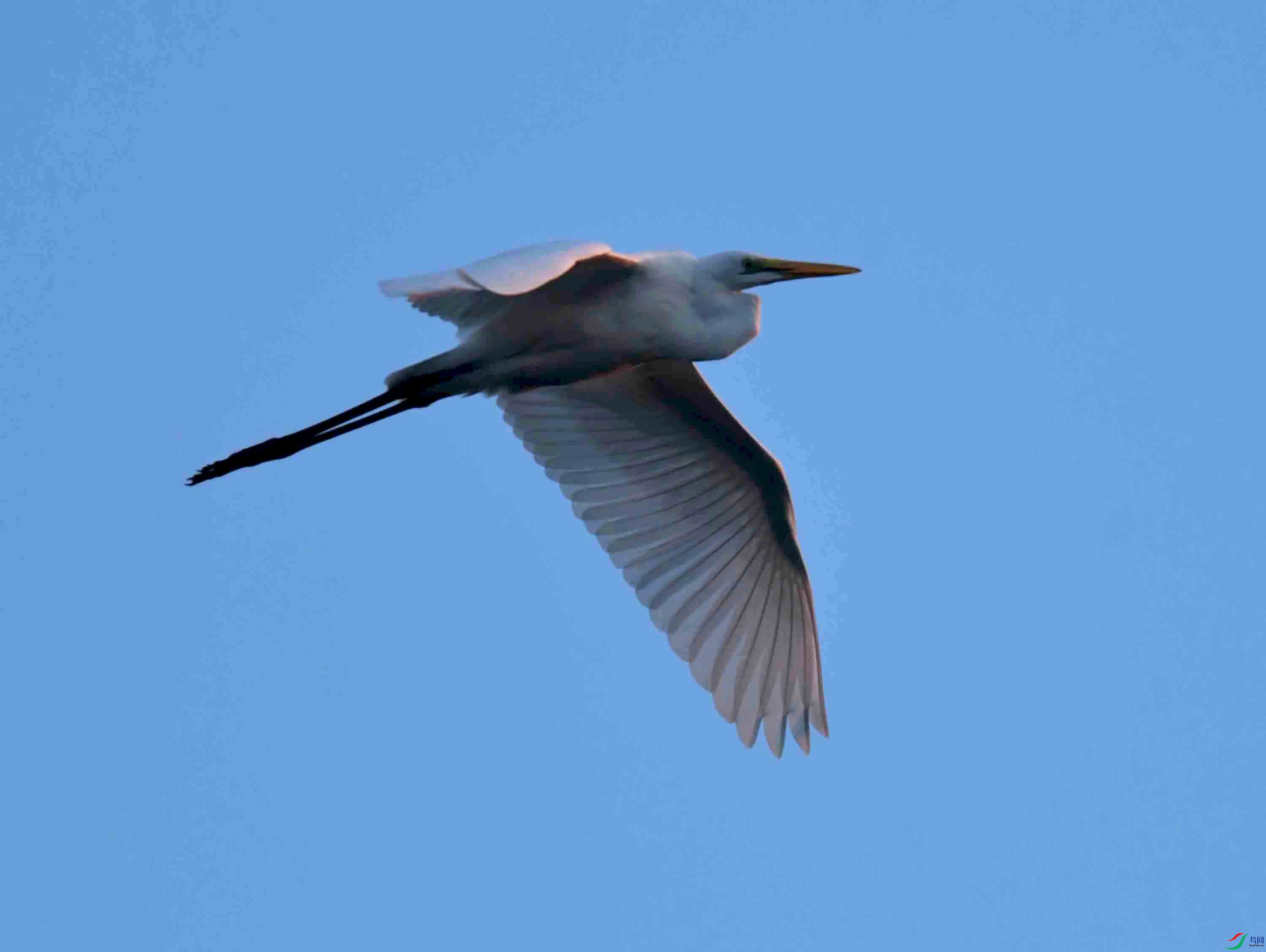 DSC_9474.JPG