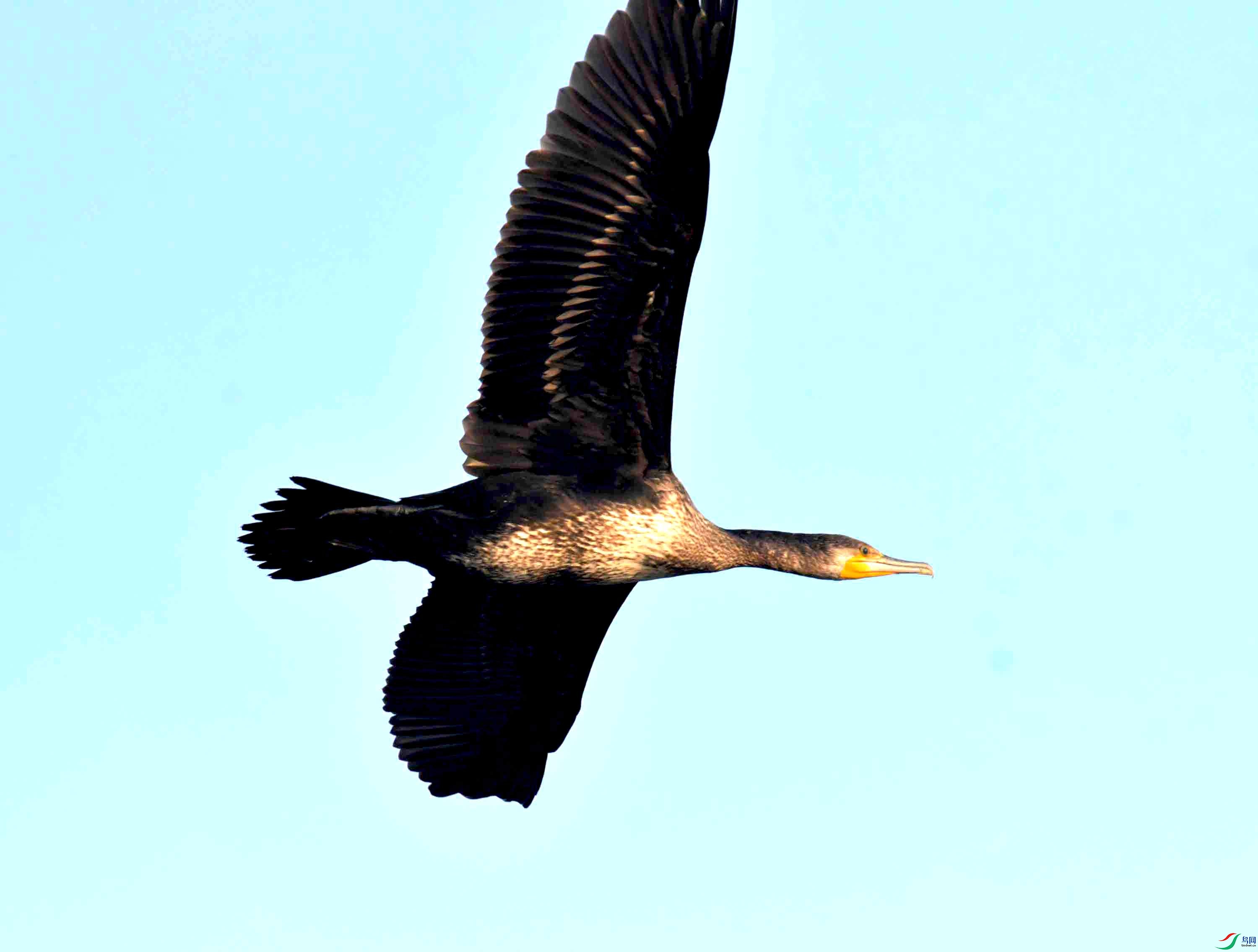 DSC_9402.JPG