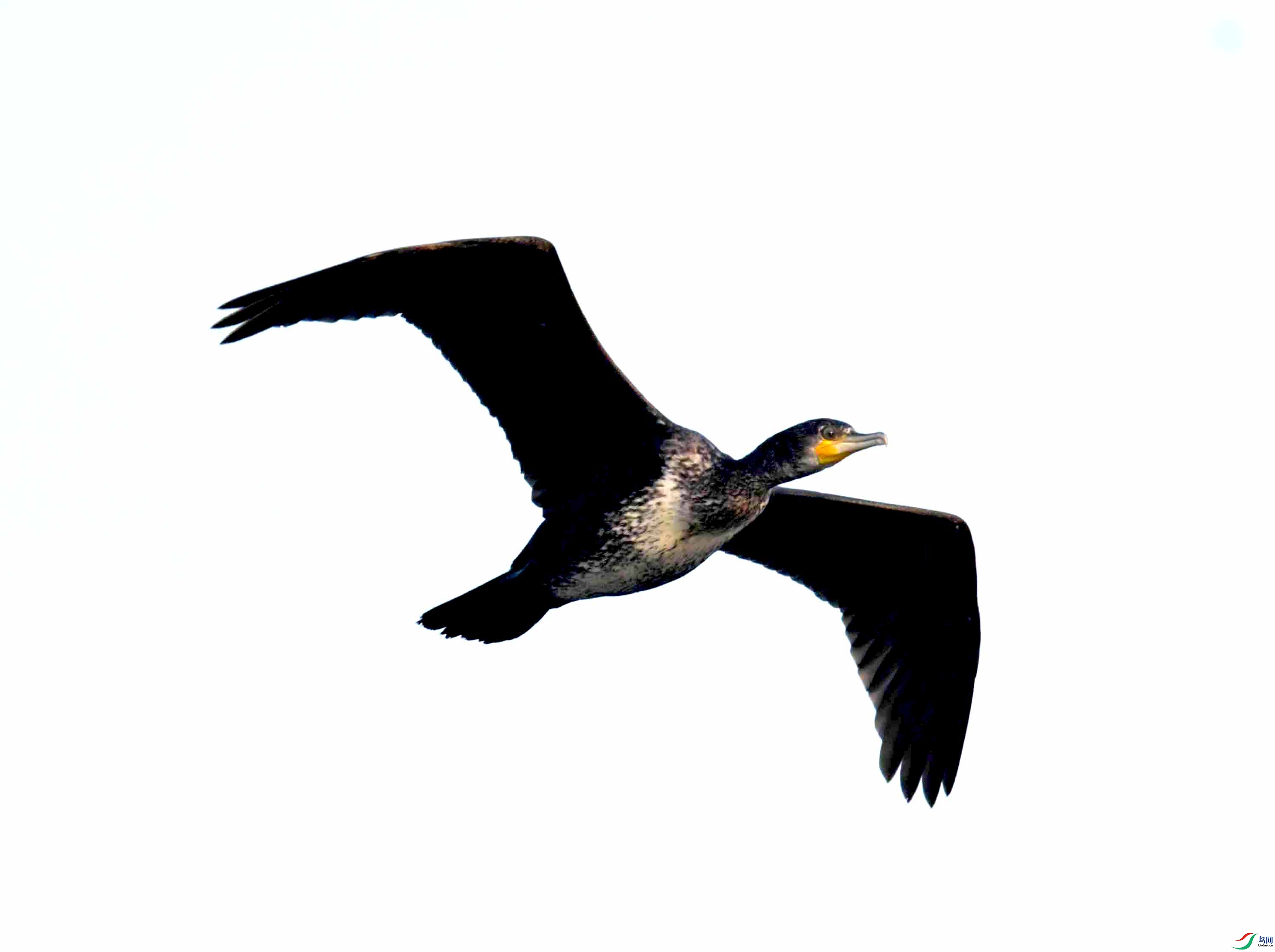 DSC_9418.JPG