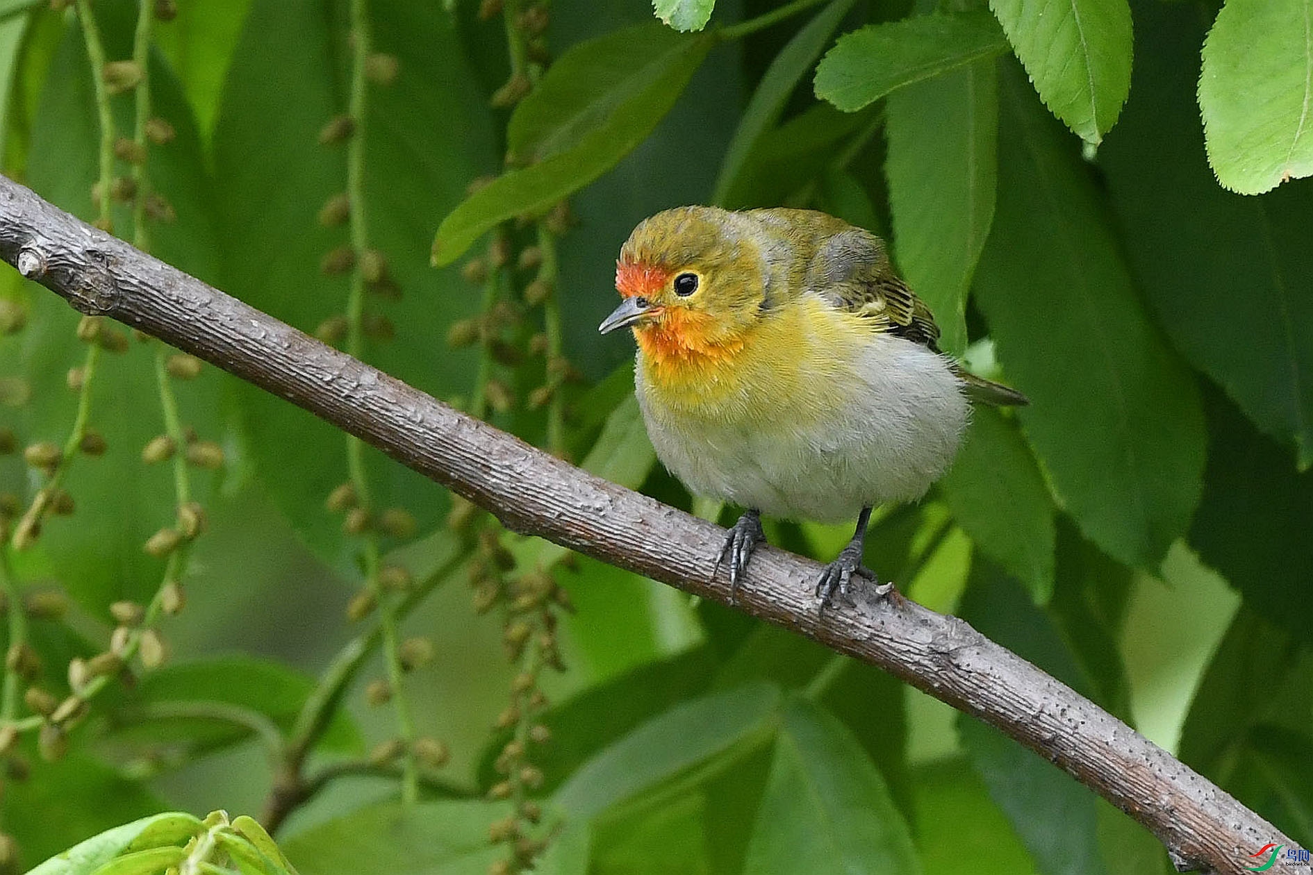 DSC_5769_����.jpg