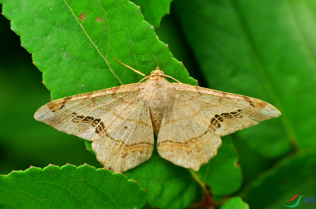 DSC_9360.JPG