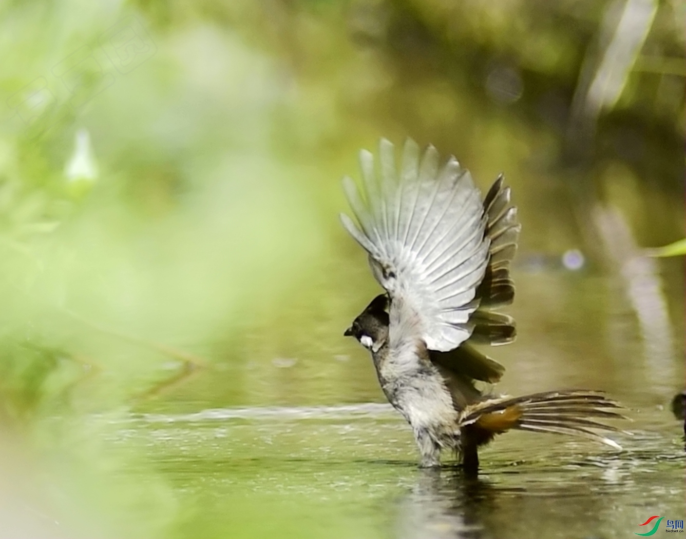 _DSC7978__.jpg