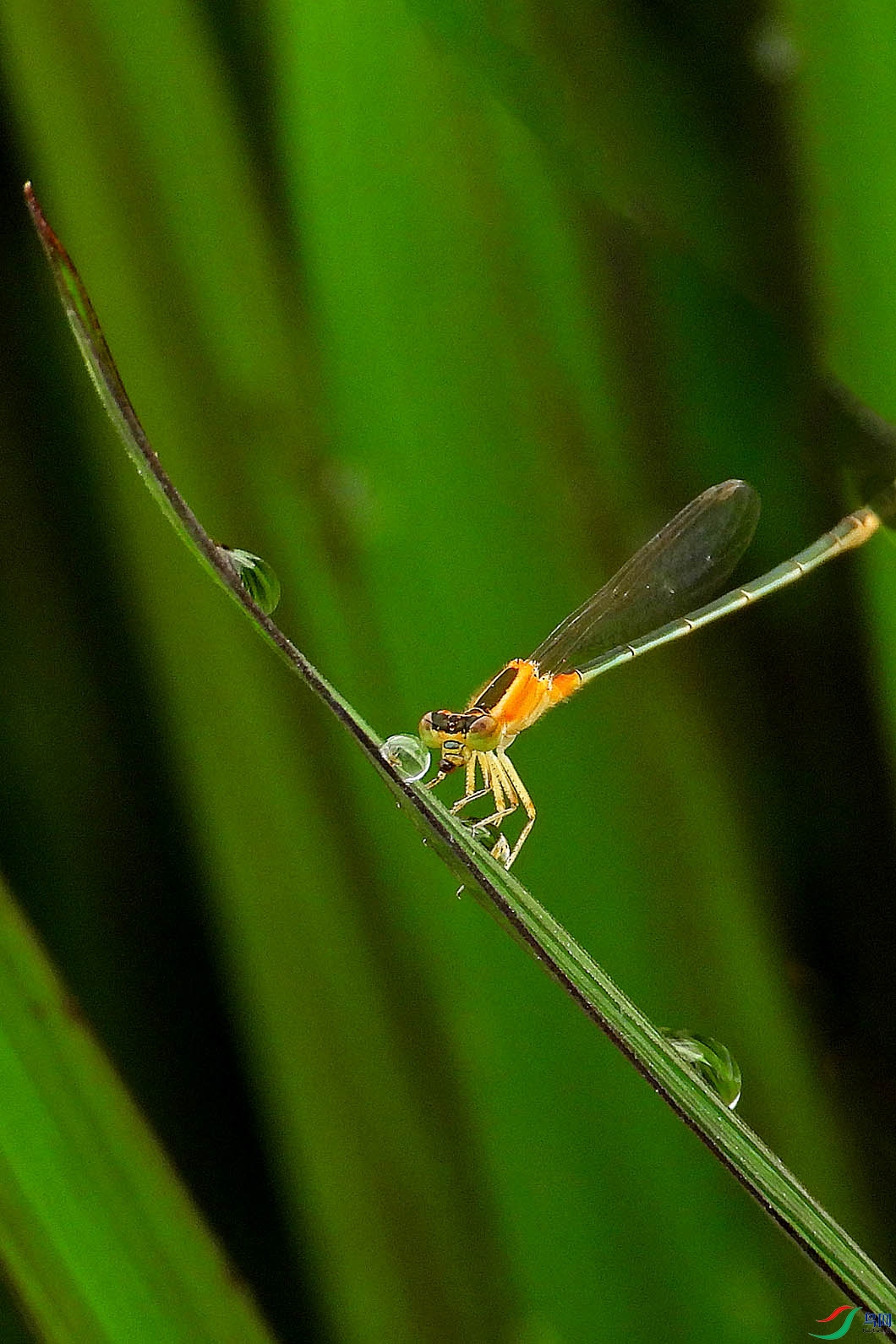 DSCN3297.JPG