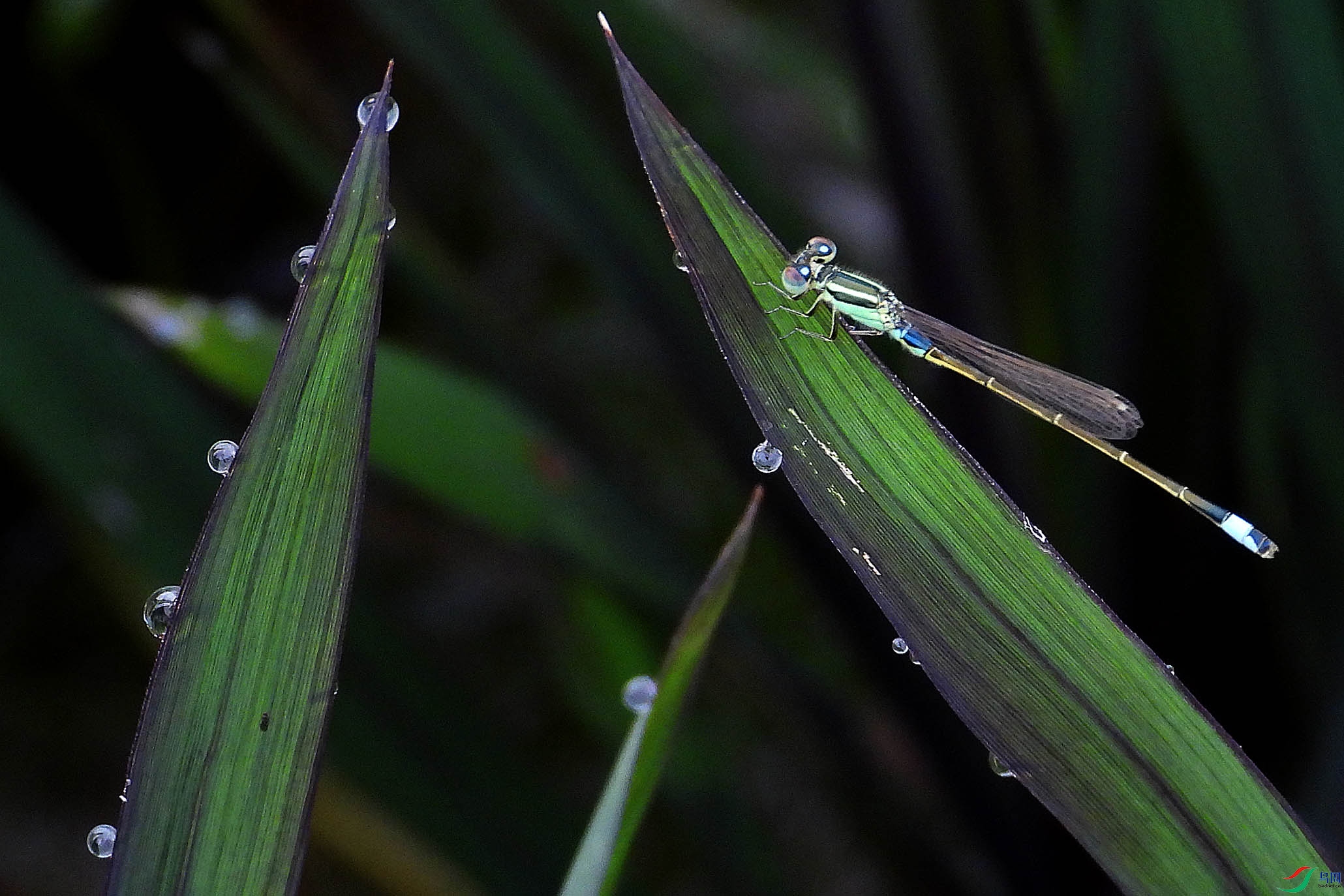 DSCN3320.JPG