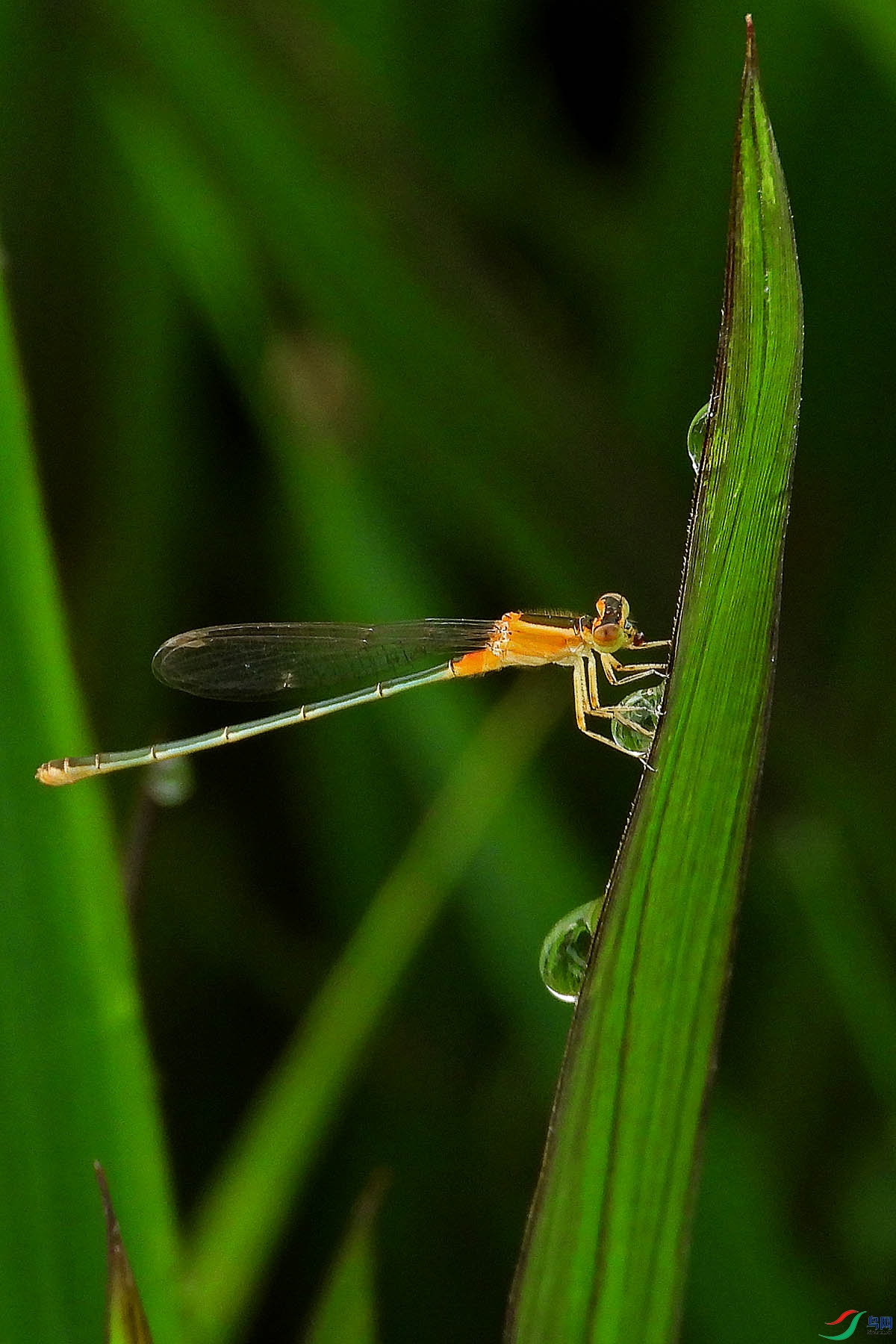 DSCN3326.JPG