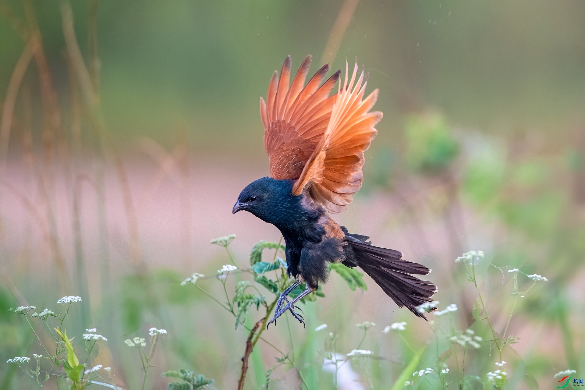 ��ƬDSC_7152.jpg