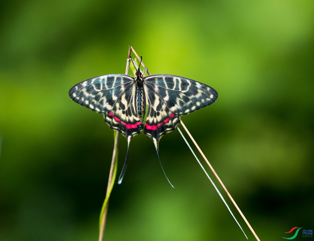 ˿����� ��_����.jpg