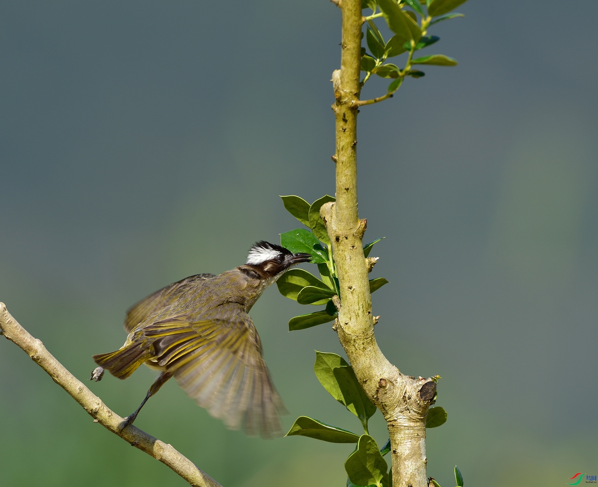 D8I_3110.jpg