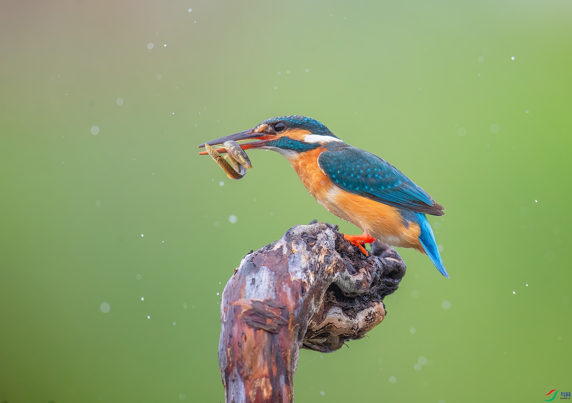 DSC_3406 -1.jpg