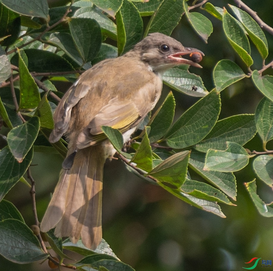 DSC_9967_����.jpg