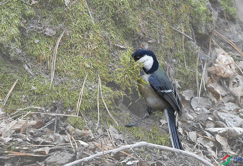 _DSC3035.JPG