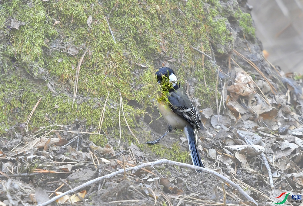 _DSC3036.JPG