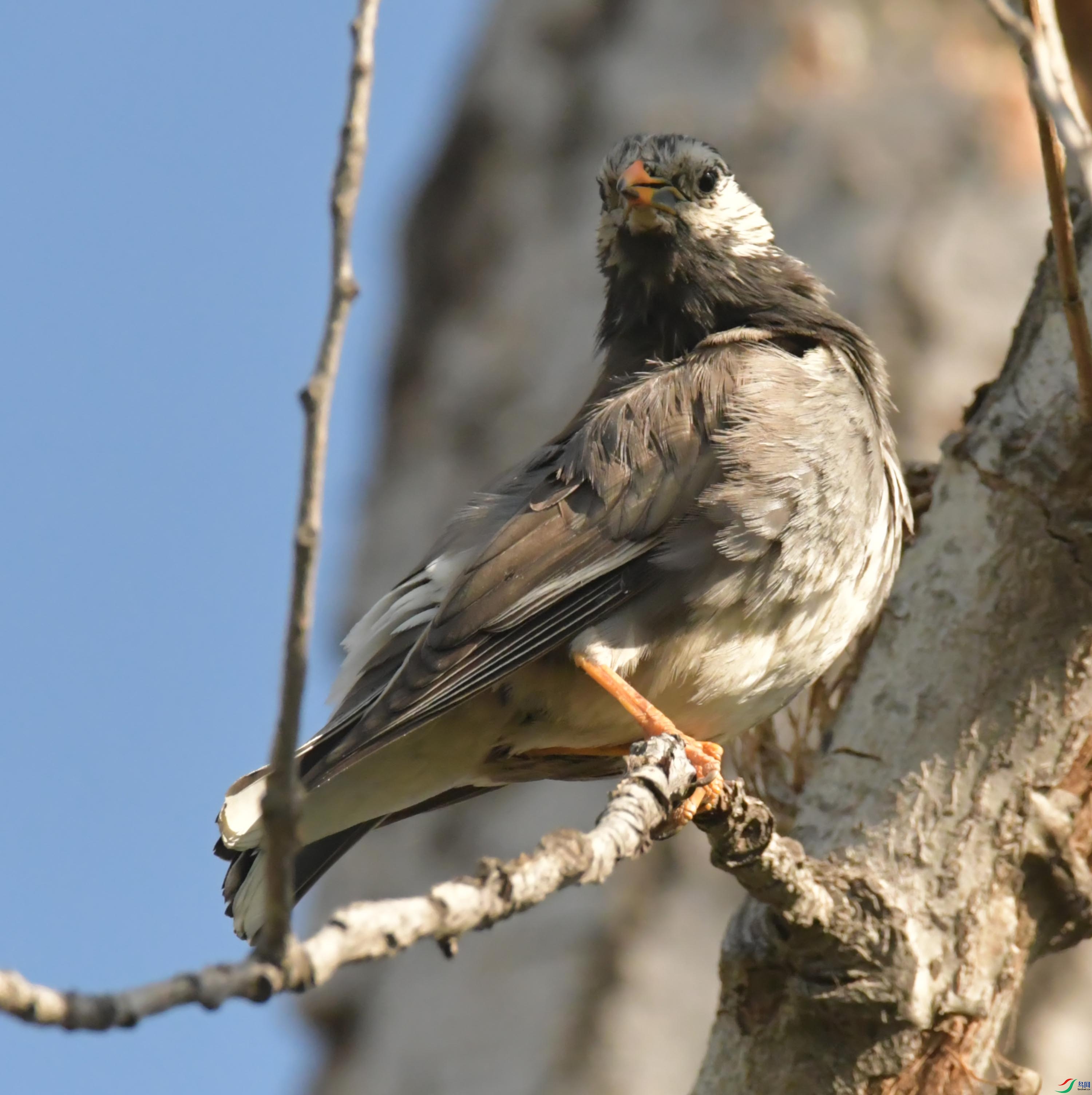 NIKON CORPORATION NIKON D500 -5568x3712-16549568.JPEG