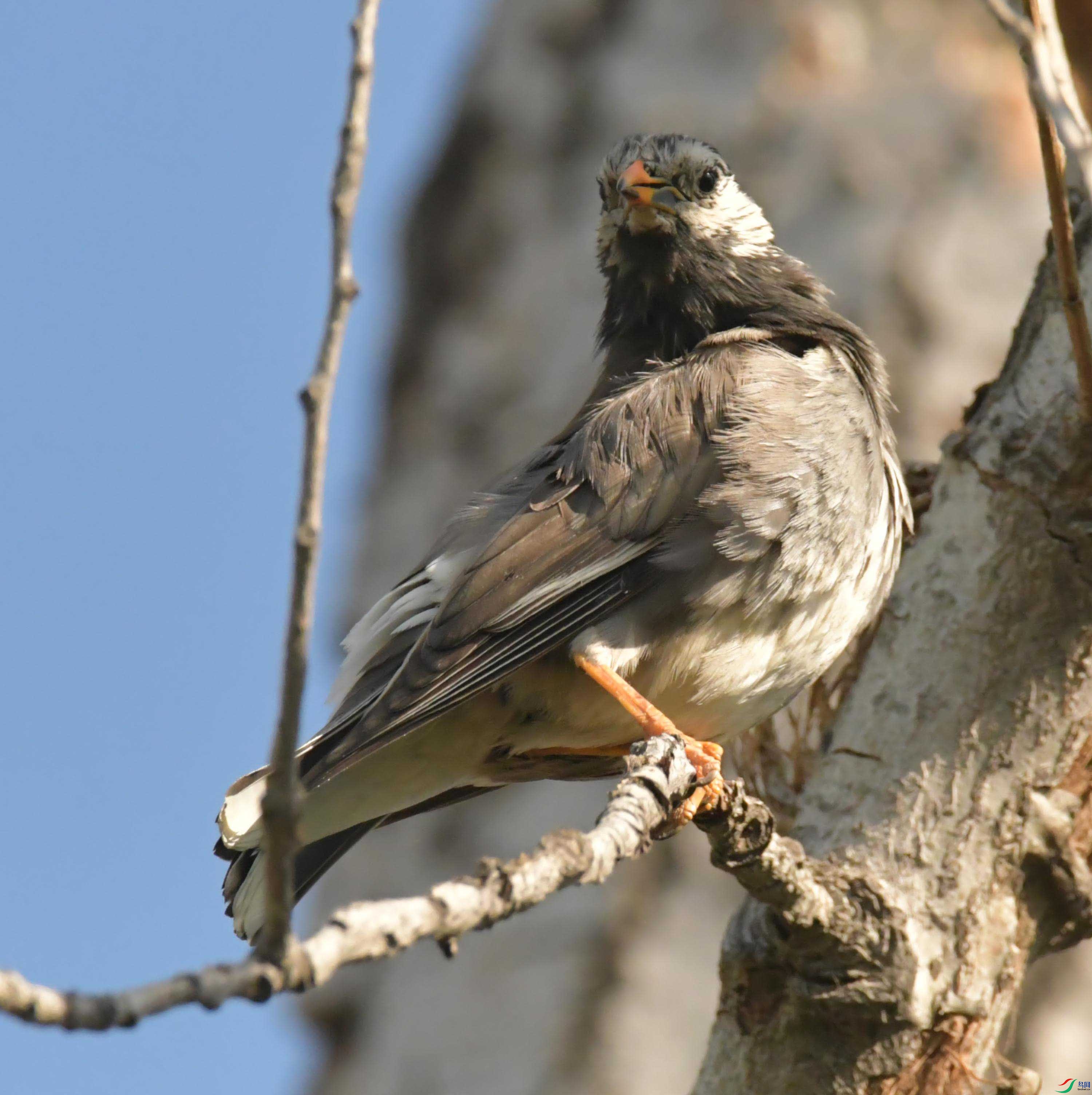 NIKON CORPORATION NIKON D500 -5568x3712-16549568.jpg