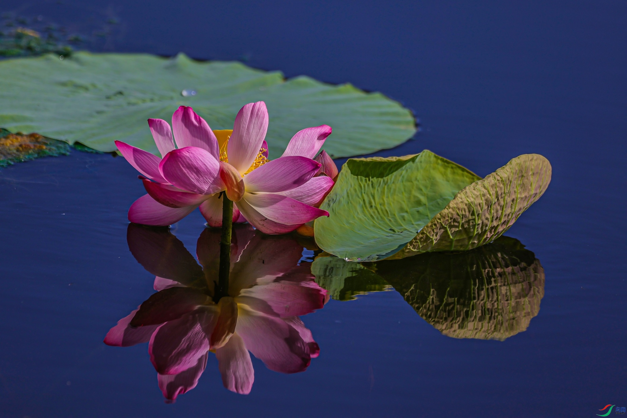 1K3A0565 ����1.jpg