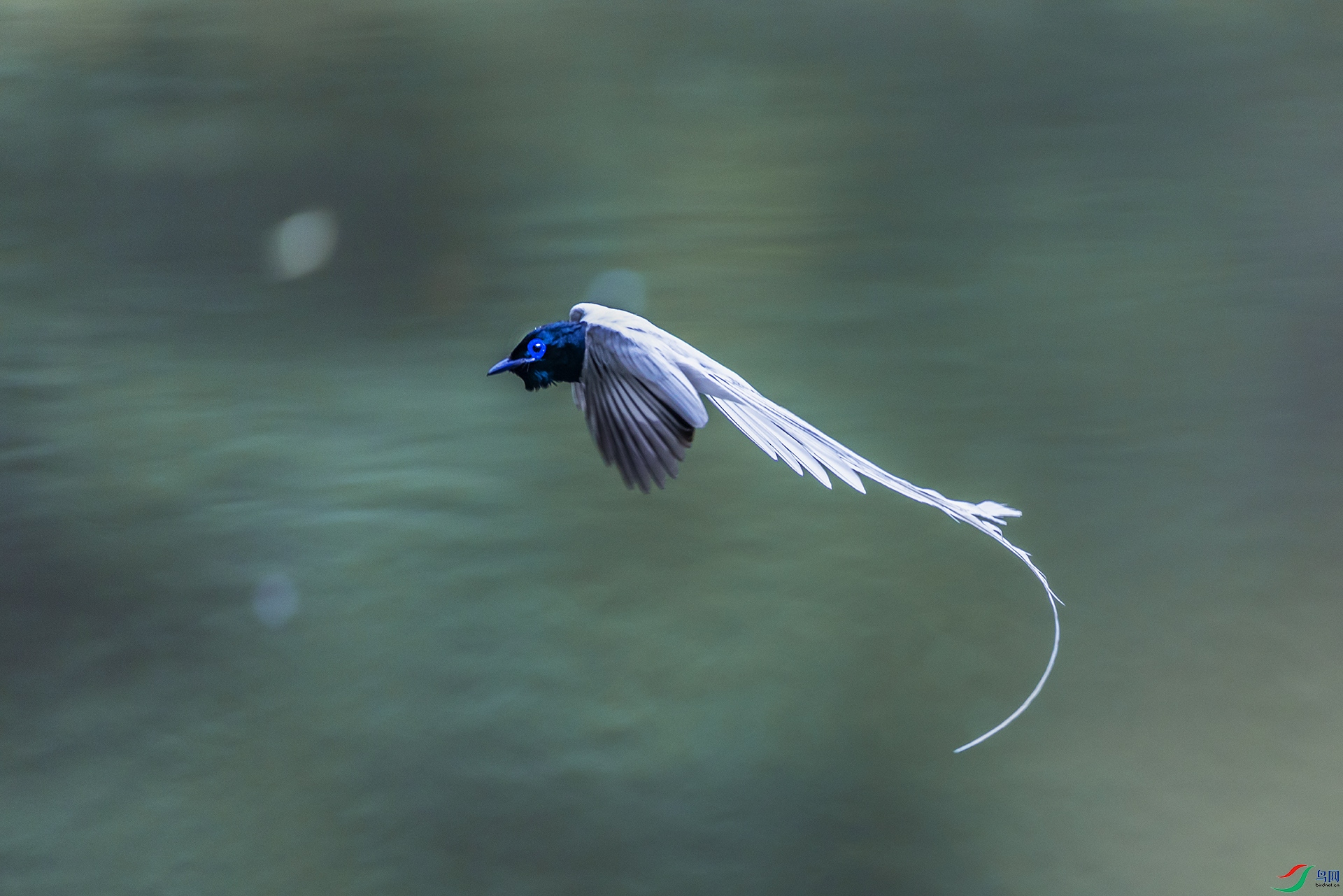 407A7331--1 .jpg