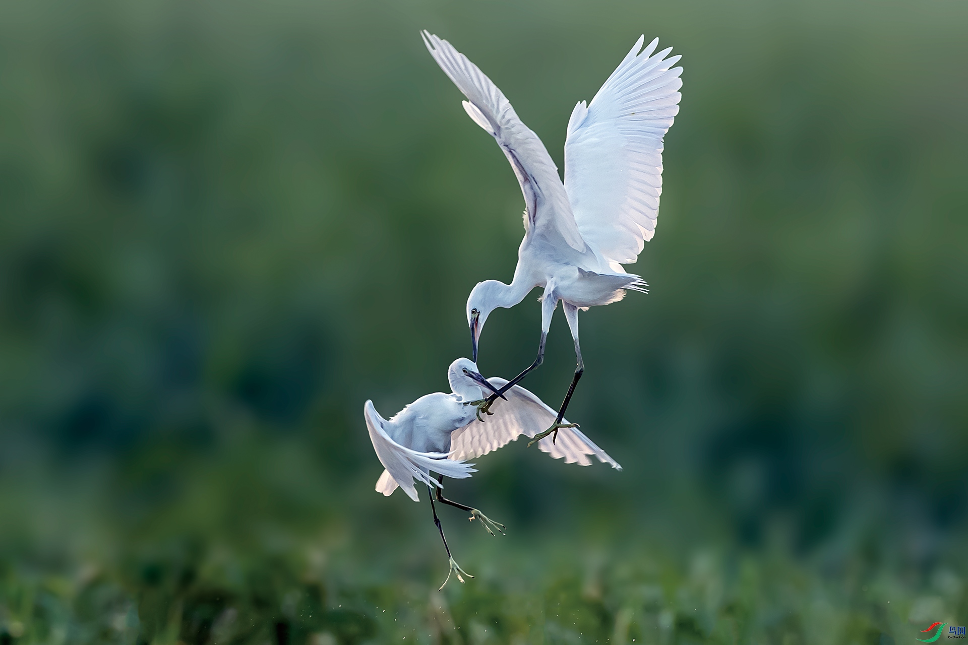 ����һ��