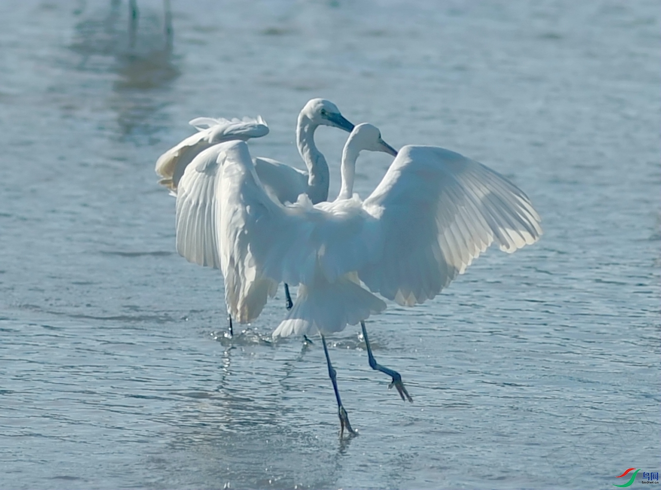 _DSC8070_.jpg