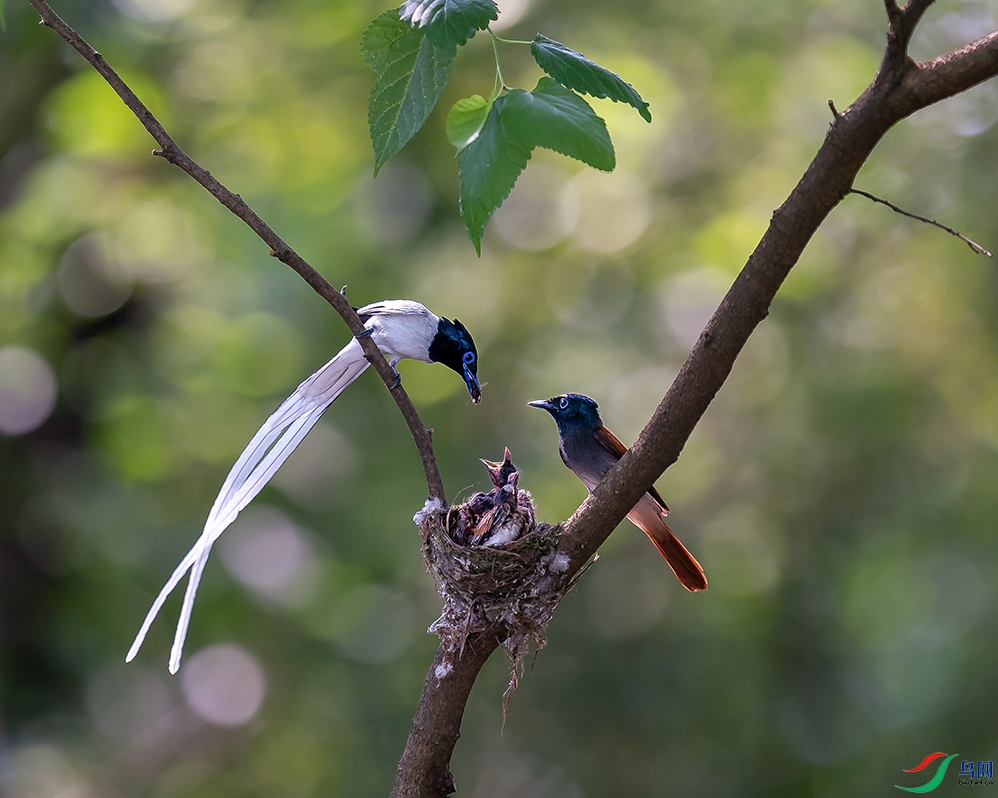 DSC00062 ����.jpg