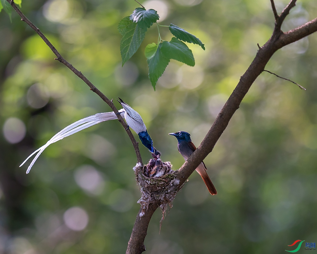 DSC00063 ����.jpg