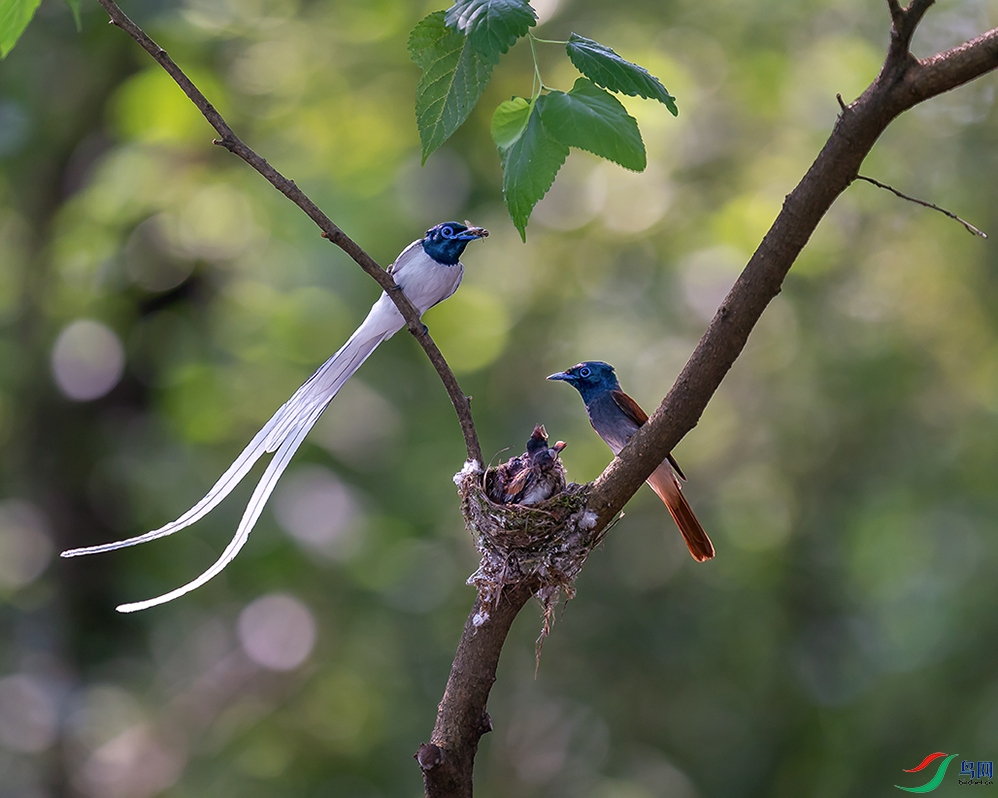 DSC00040 ����.jpg