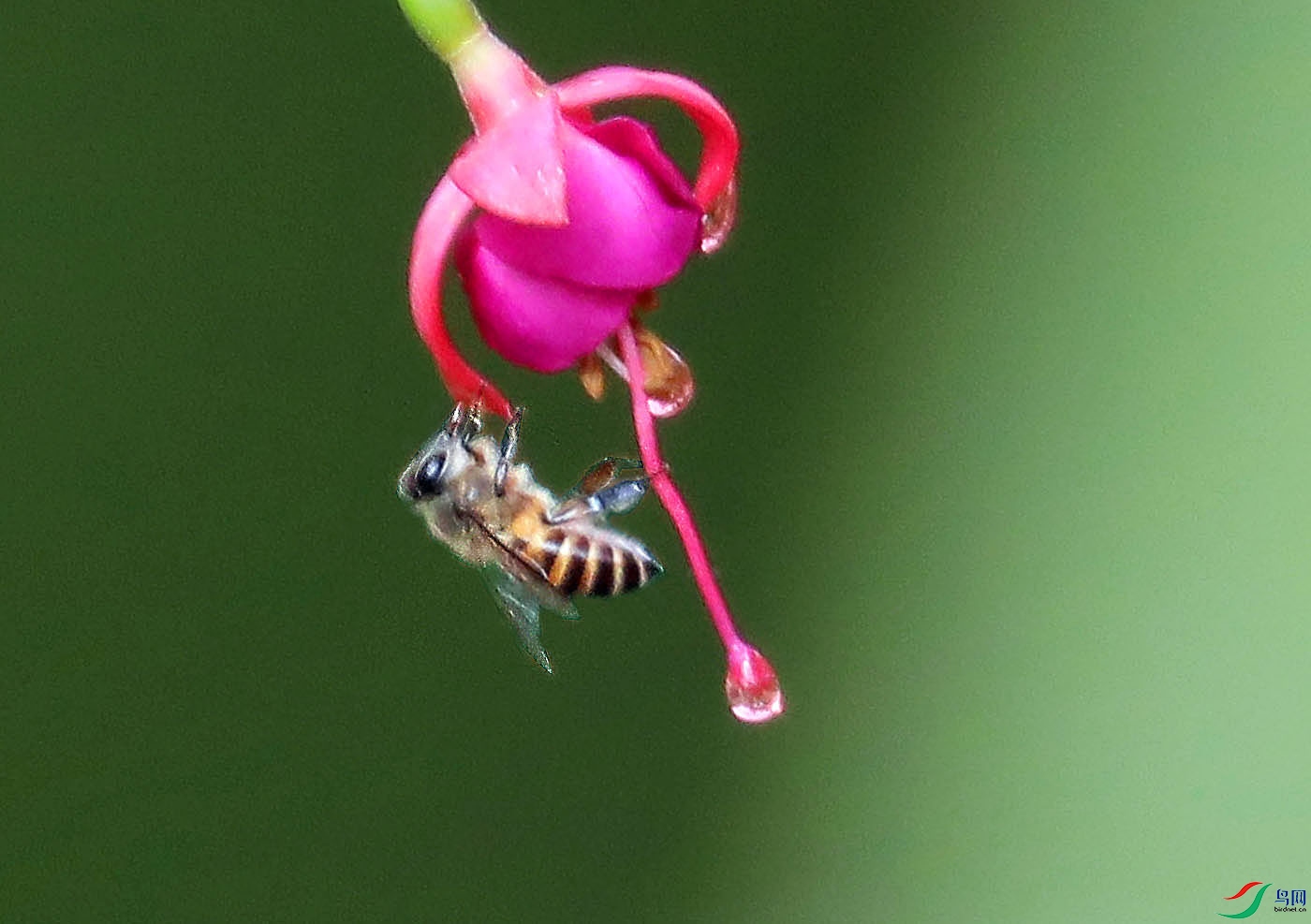 �� ��-09.jpg