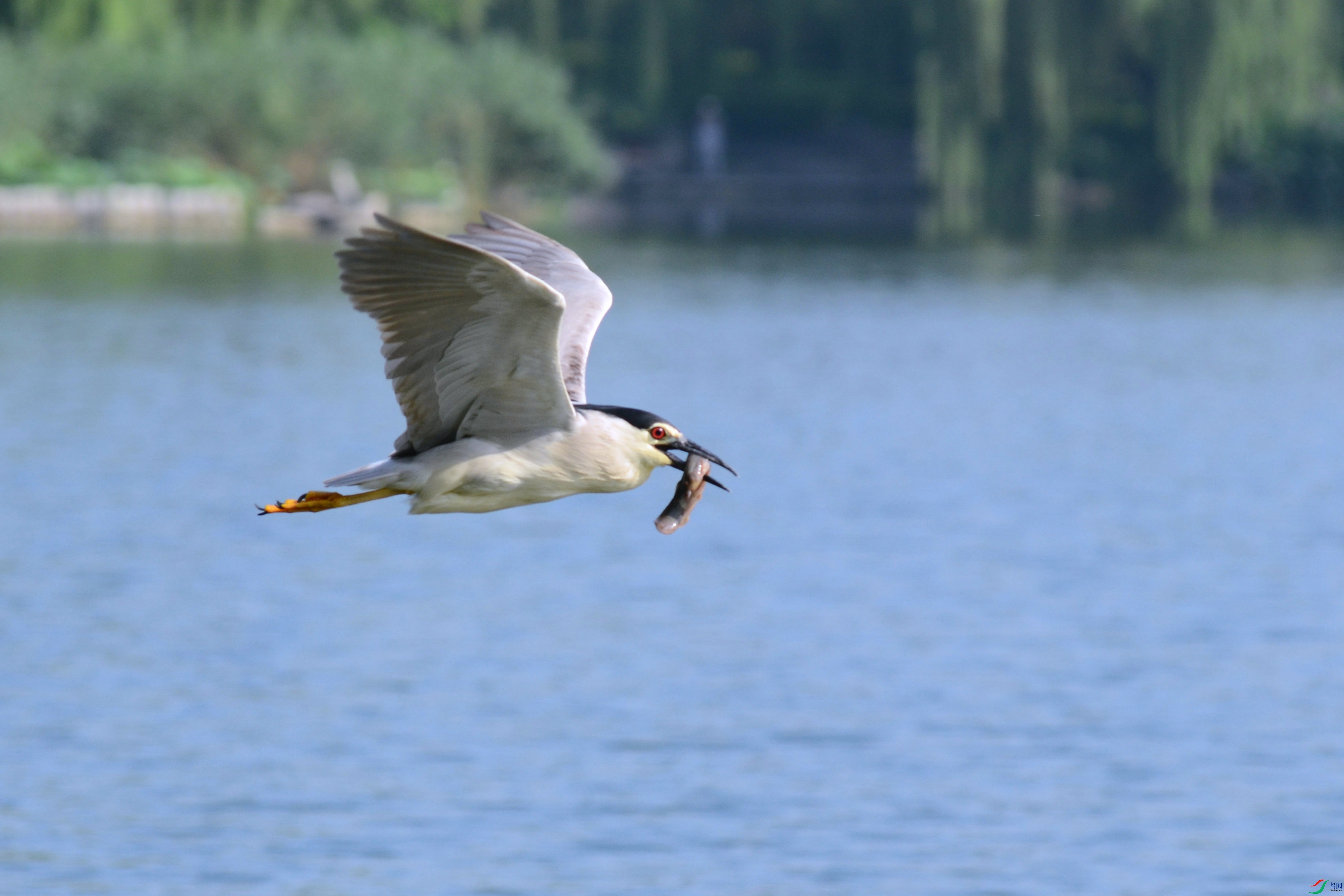 DSC_3248.JPG