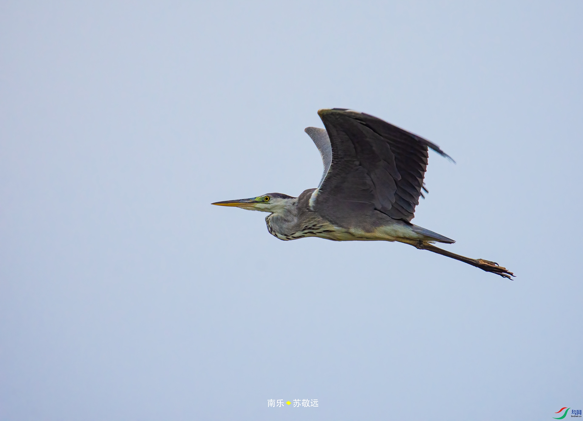 _DSC6416С.jpg