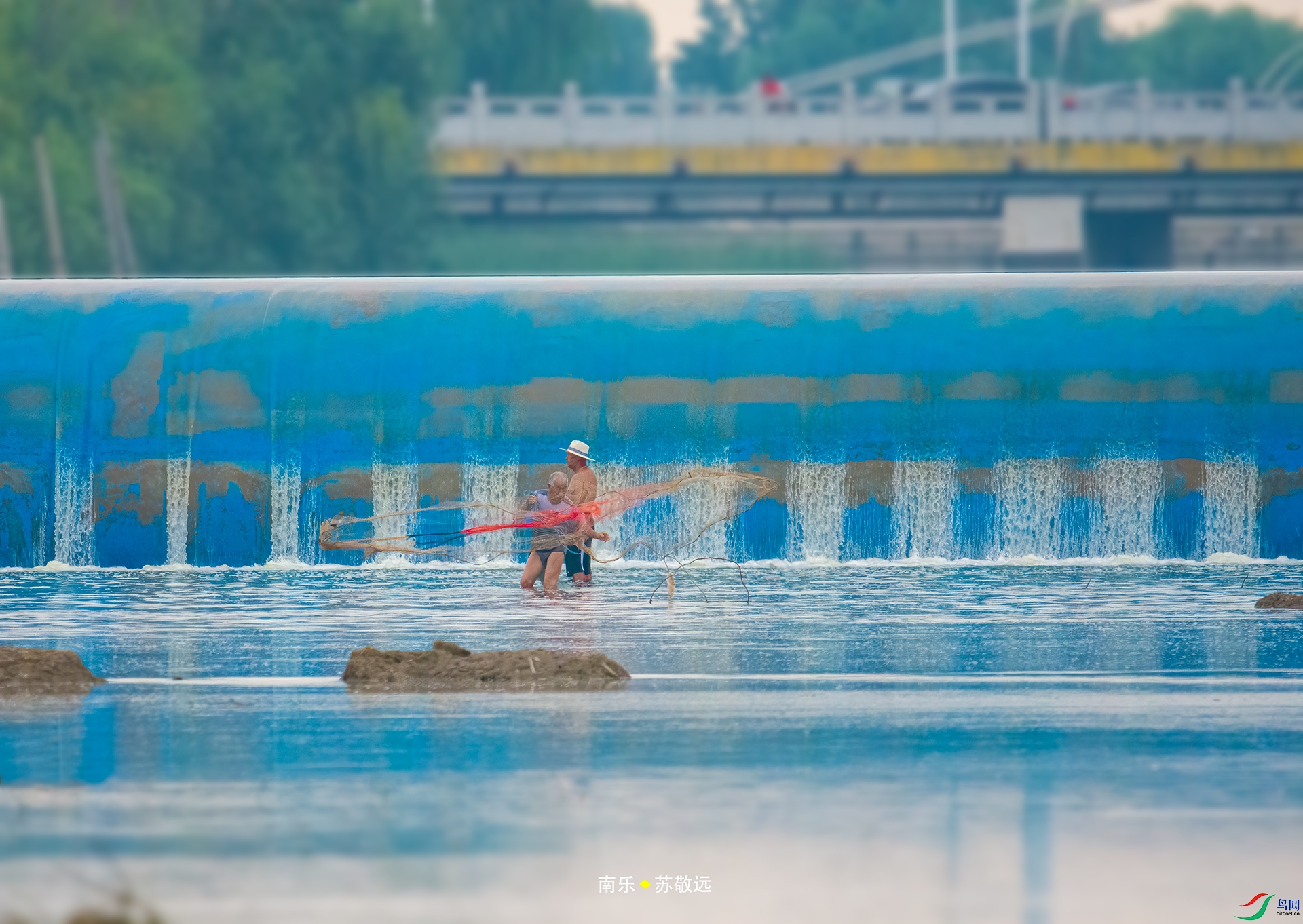 _DSC6434С.jpg