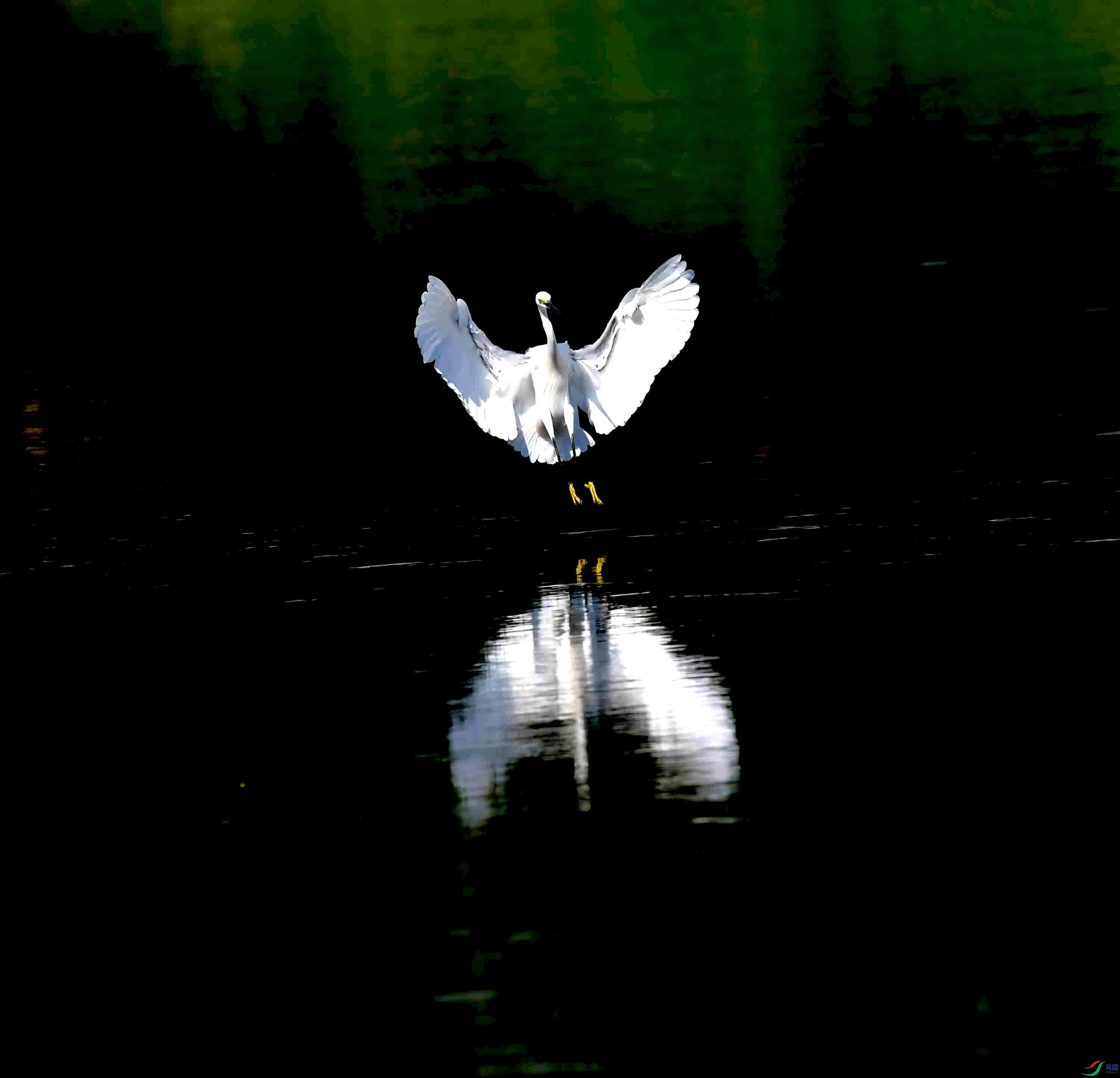 DSC_9299.JPG