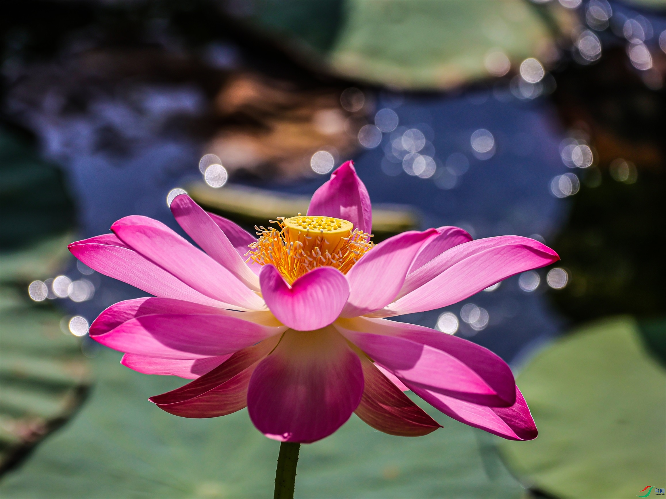 1K3A0661 ����1.jpg