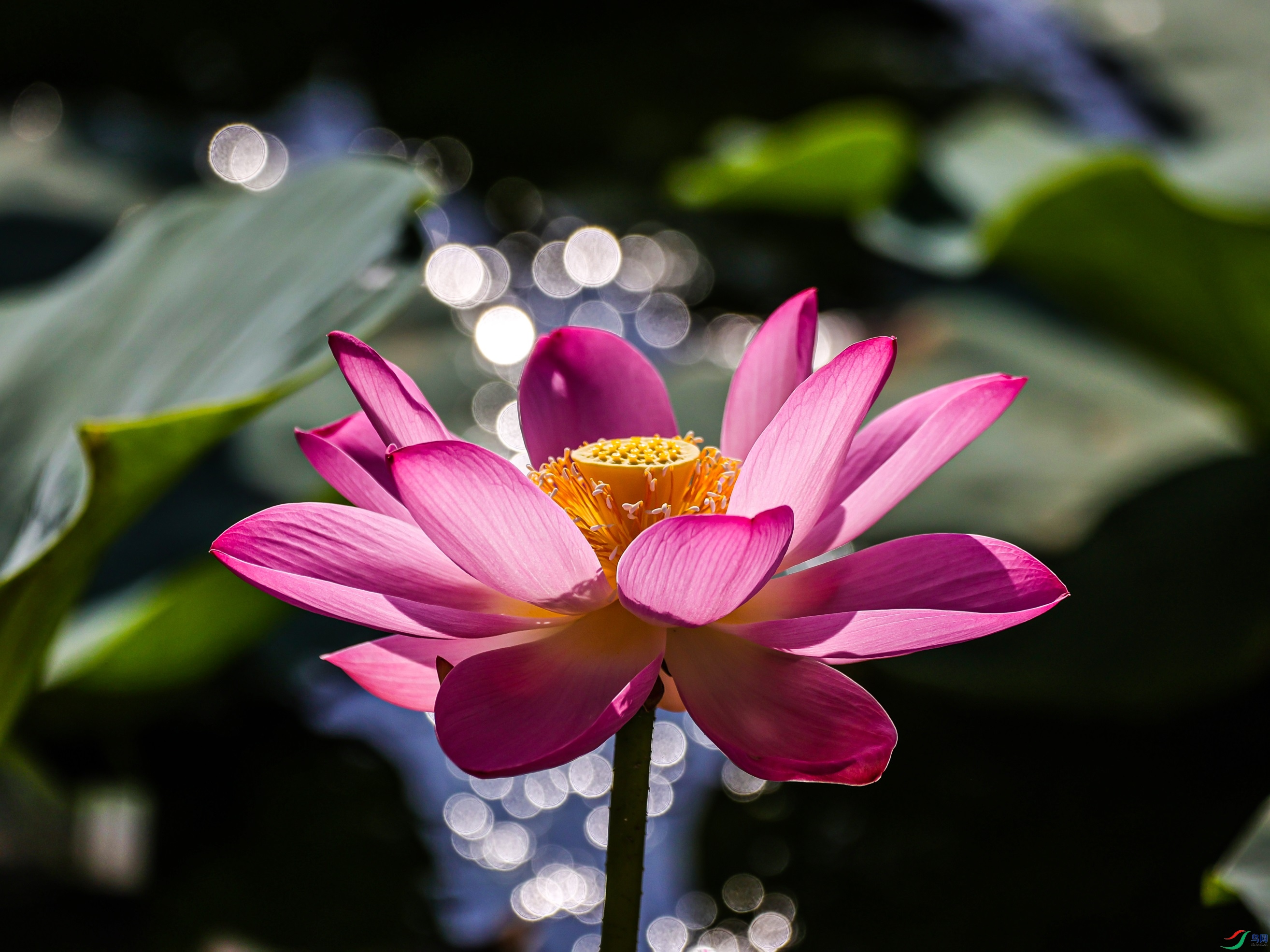 1K3A0654 ����1.jpg