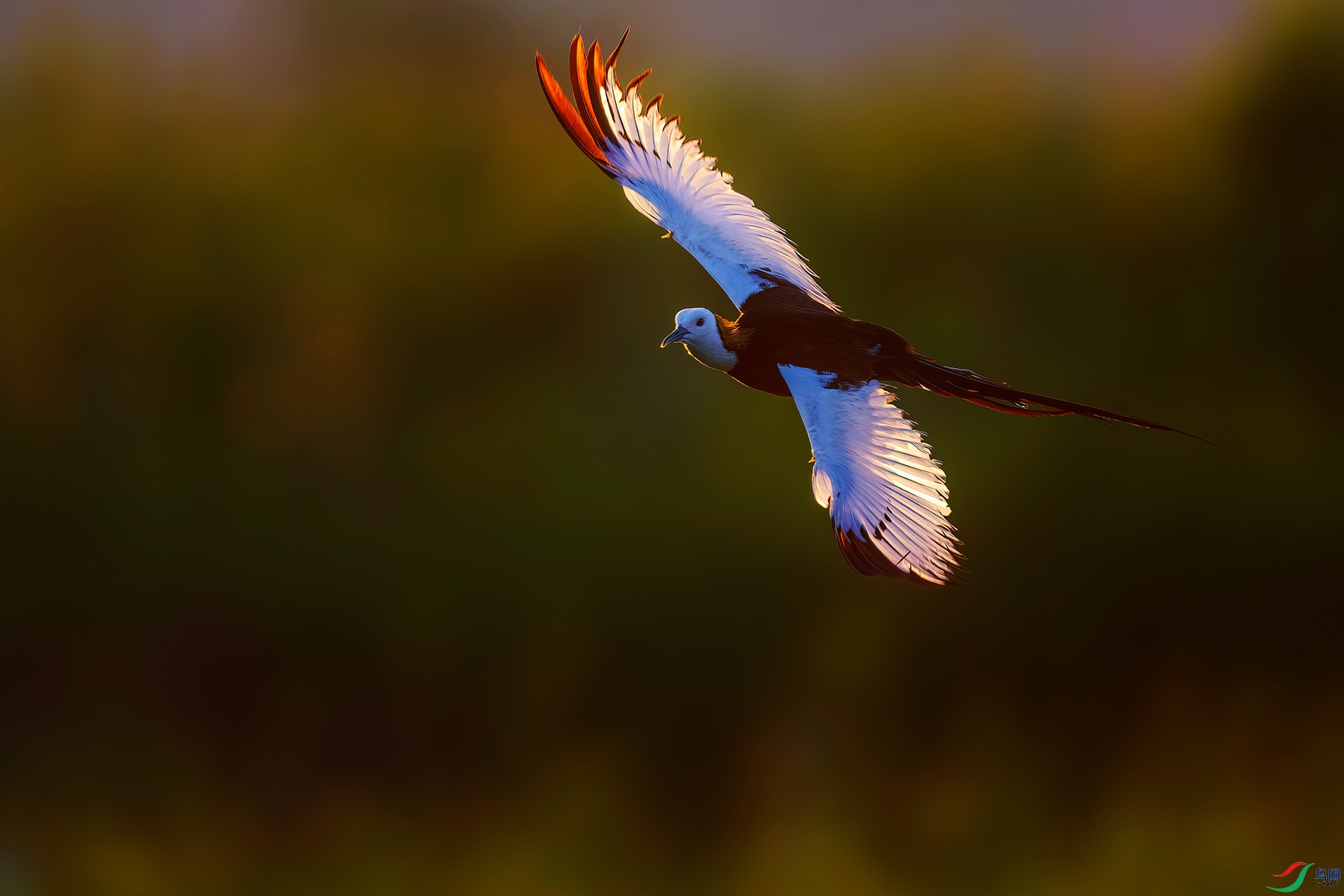 _DSC4654-1sn1hd.jpg