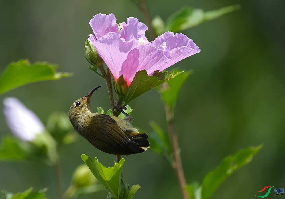 DSCF2856.1.jpg