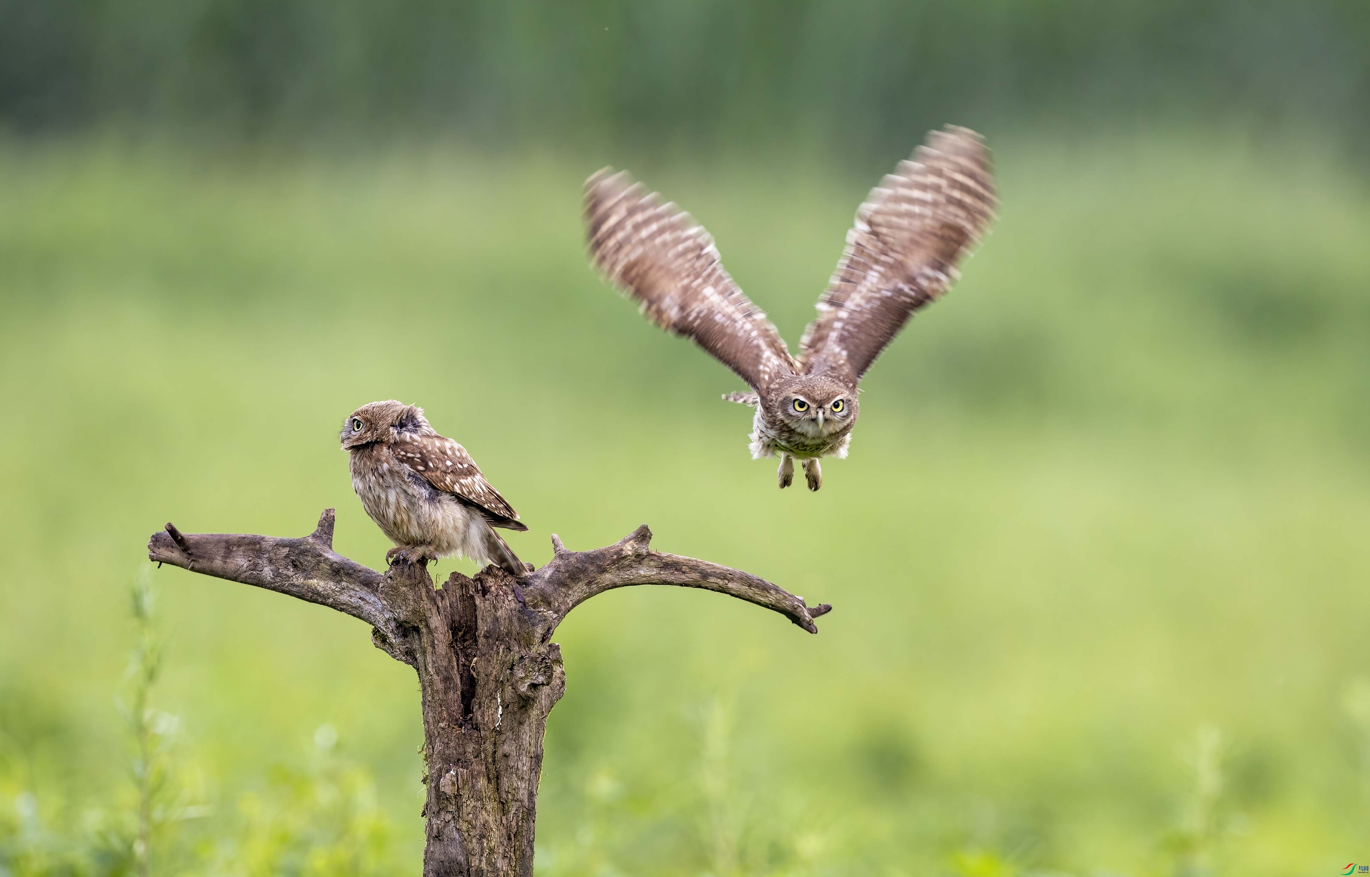 �������