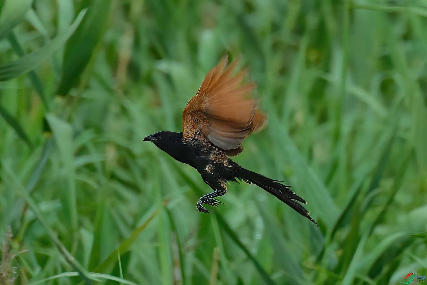 DSC_0072.jpg
