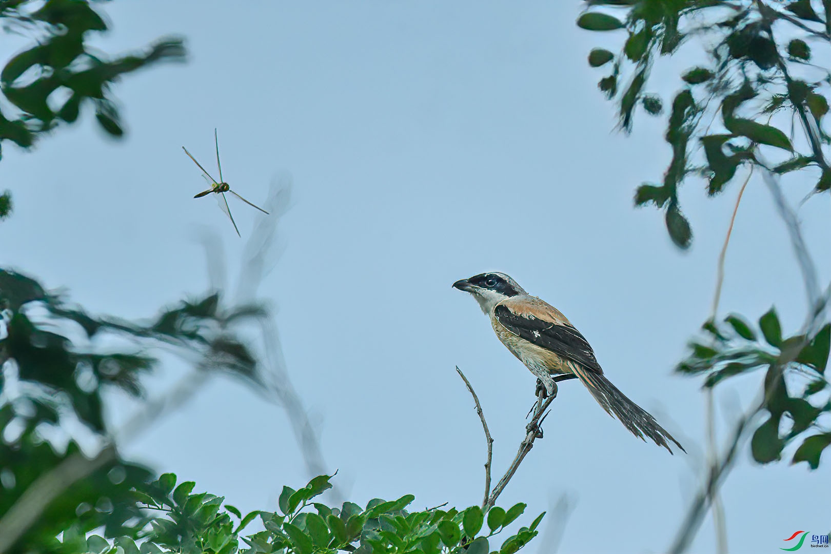 DSC_0872.jpg