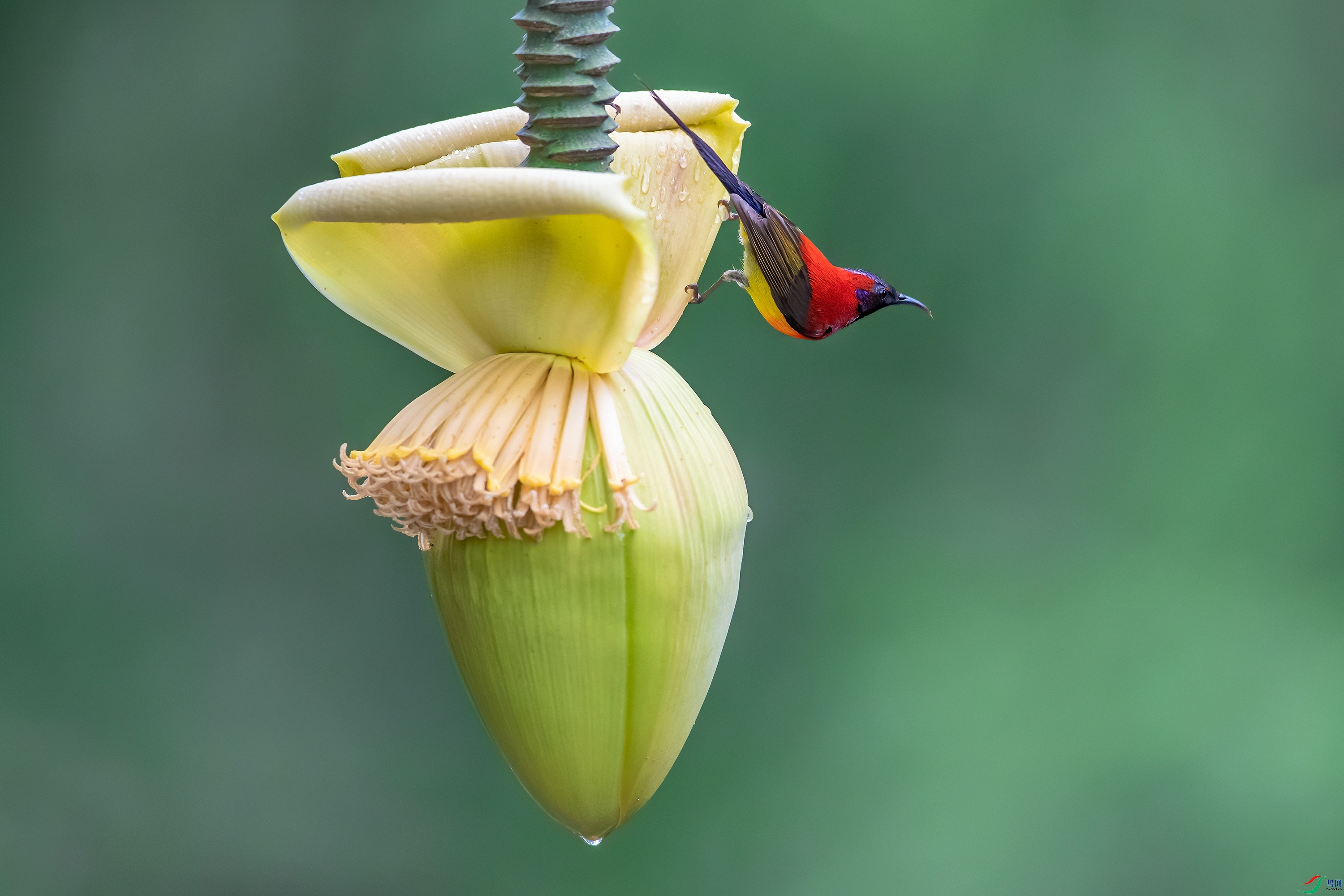 ��ƬDSC_1112.jpg