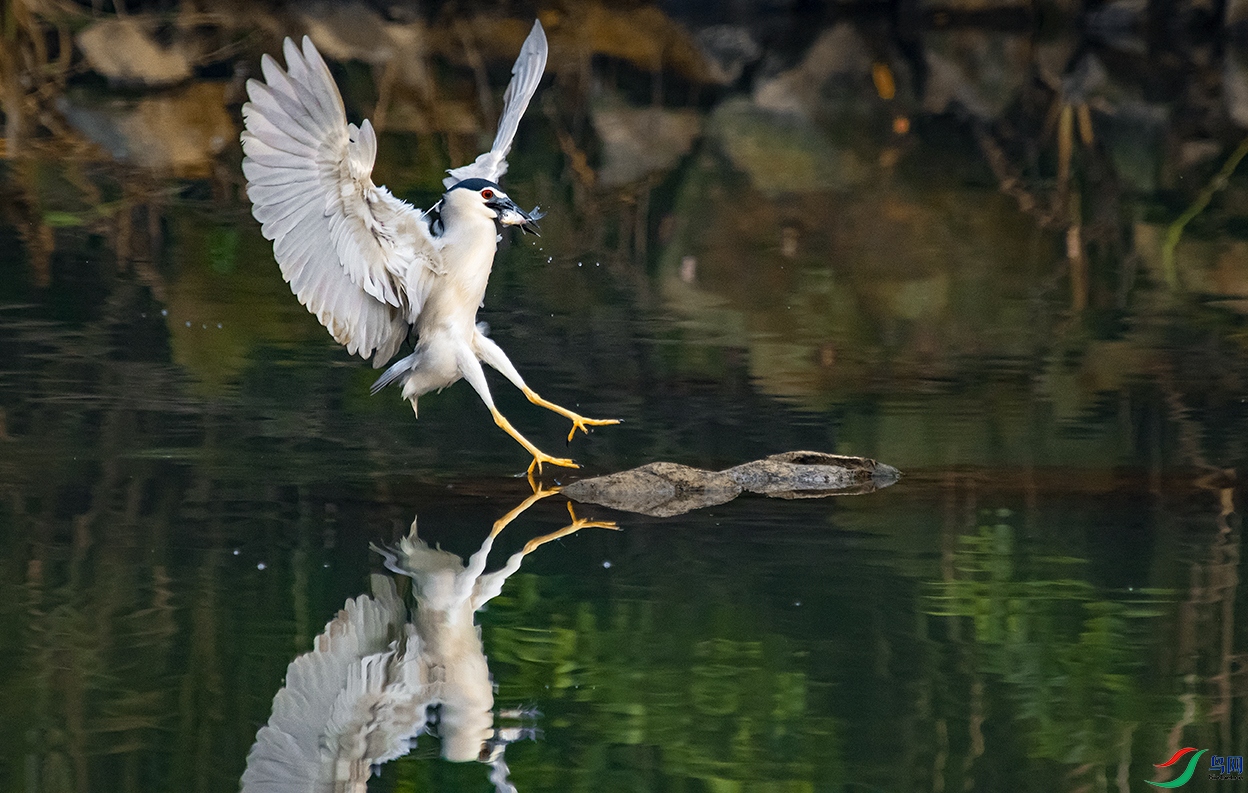 DSC_5814().jpg