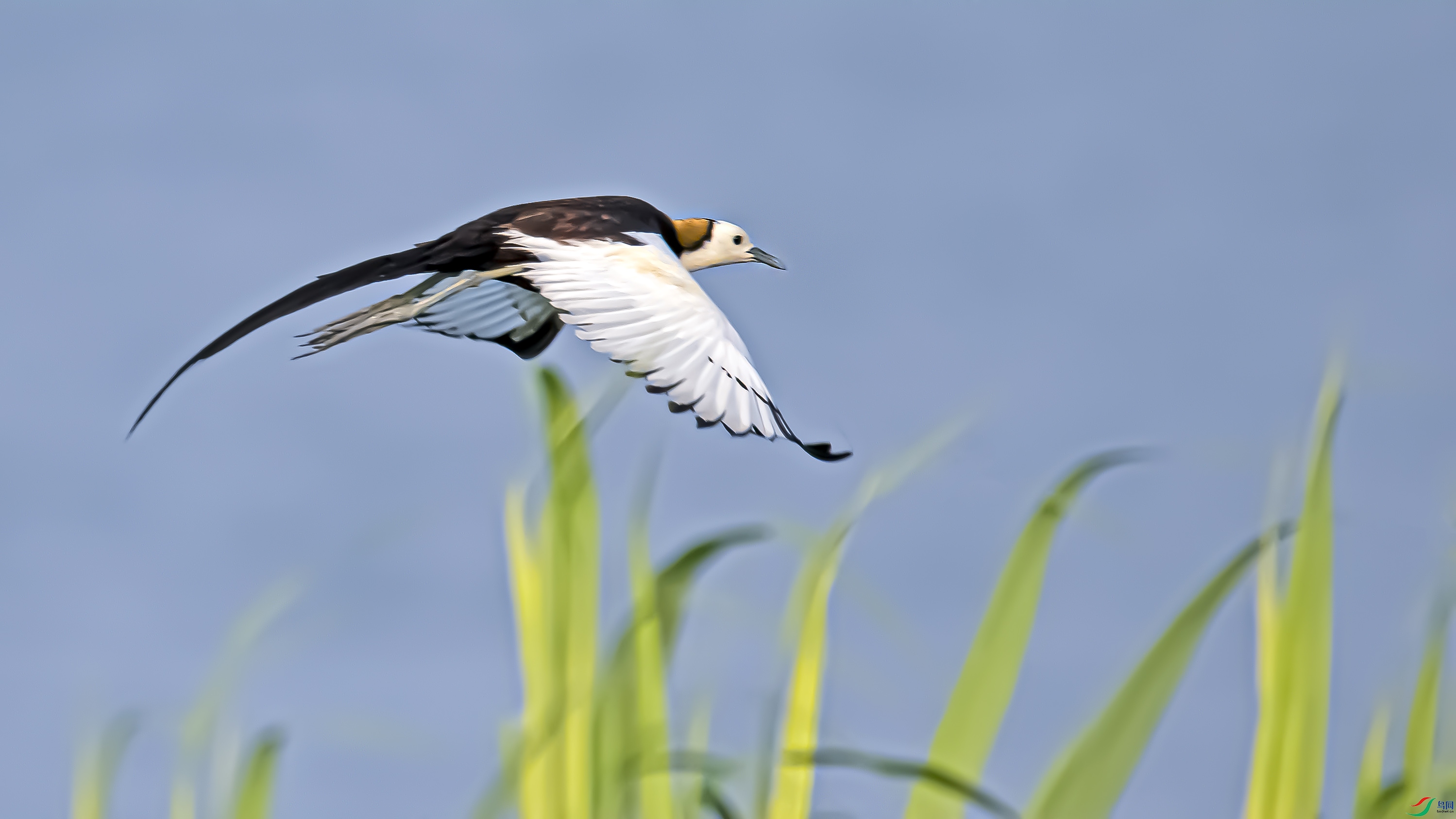 LJH_5602.jpg