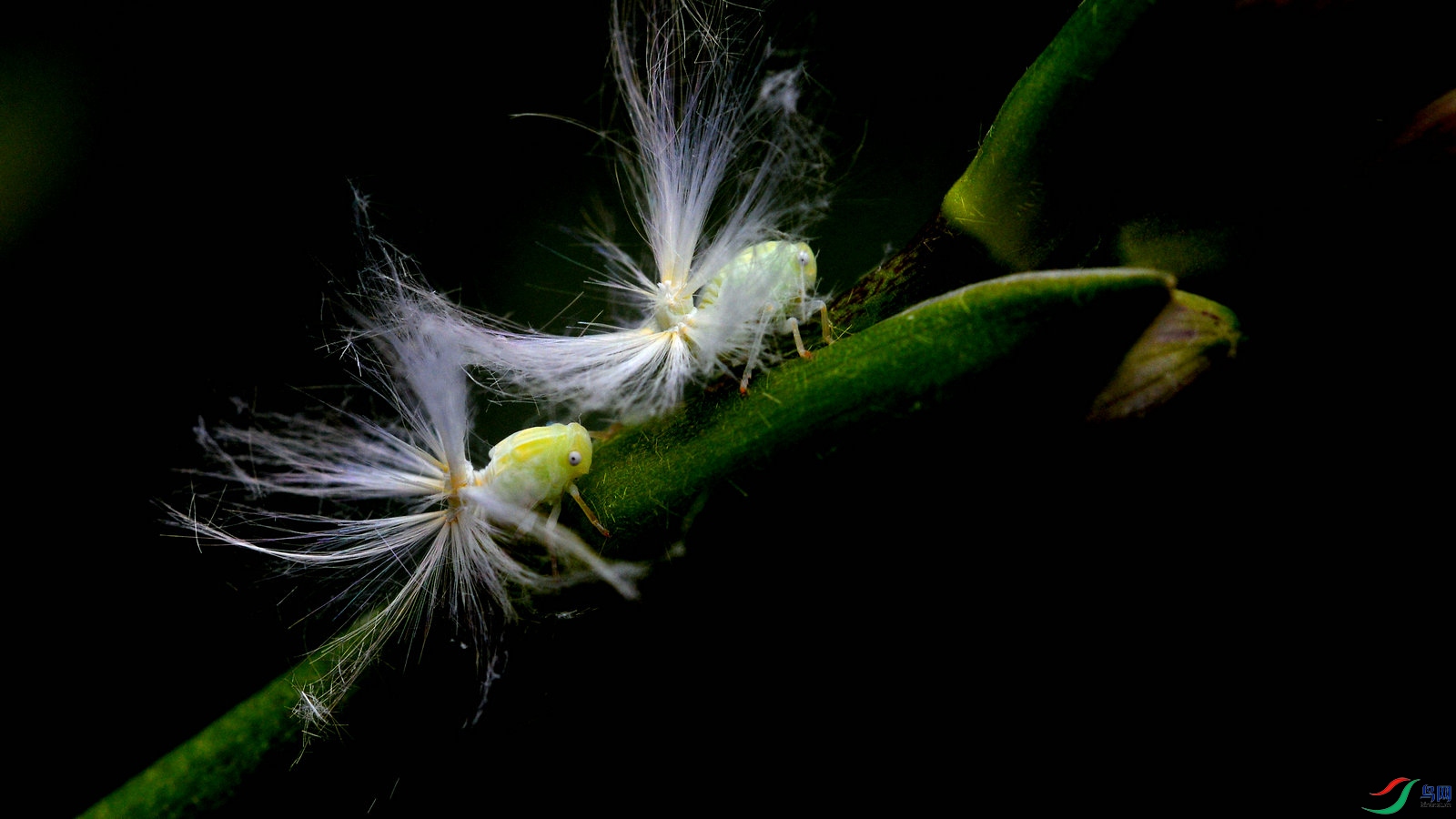 DSC_2365_����.jpg