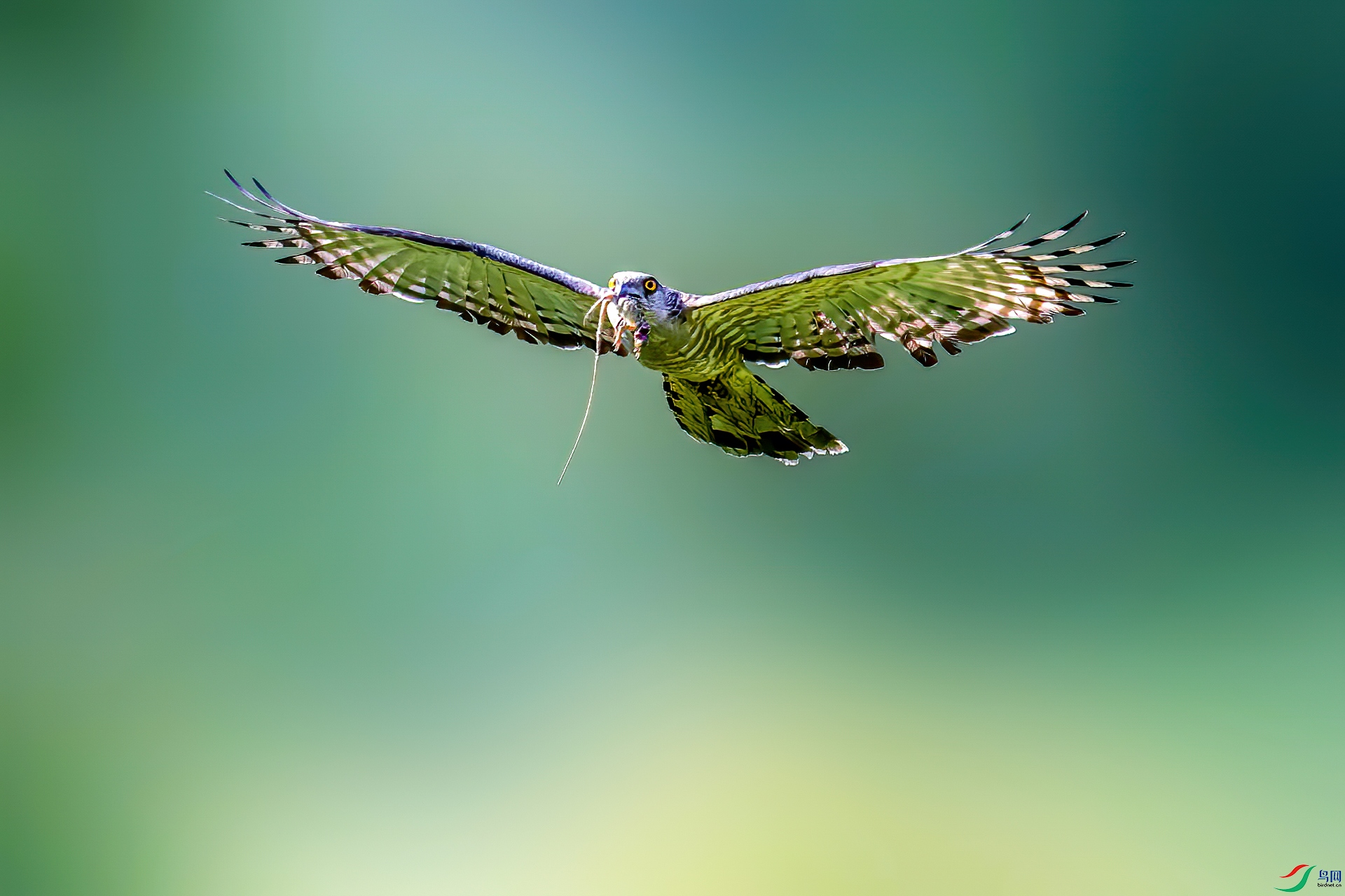��Ŀ_20220607_0020-1.jpg