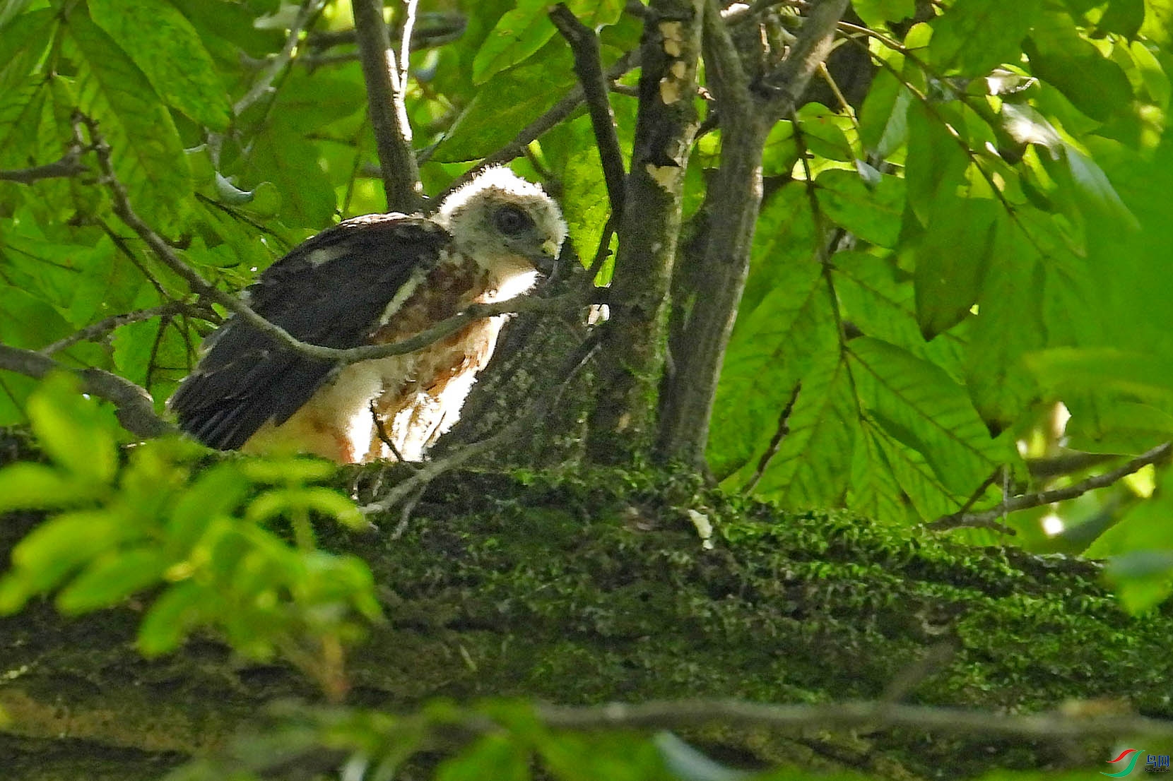 DSCN3503.jpg