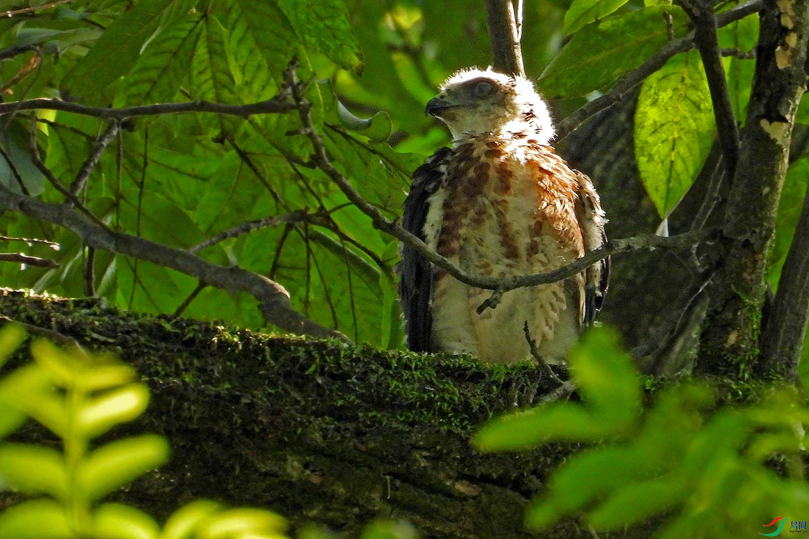 DSCN3493.jpg
